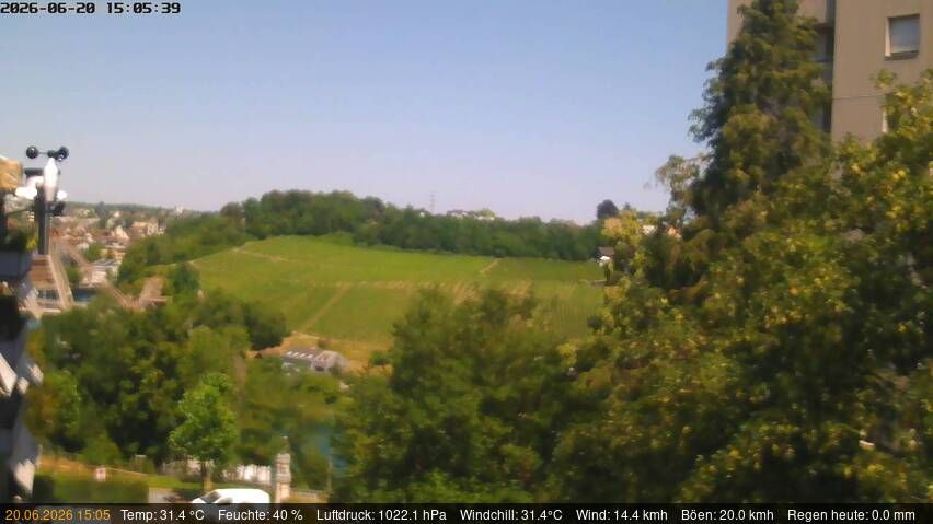 Neuhausen am Rheinfall › Nordosten: Schaffhausen, Schweiz: Nordost (Flurlingen/ Schaffhausen)