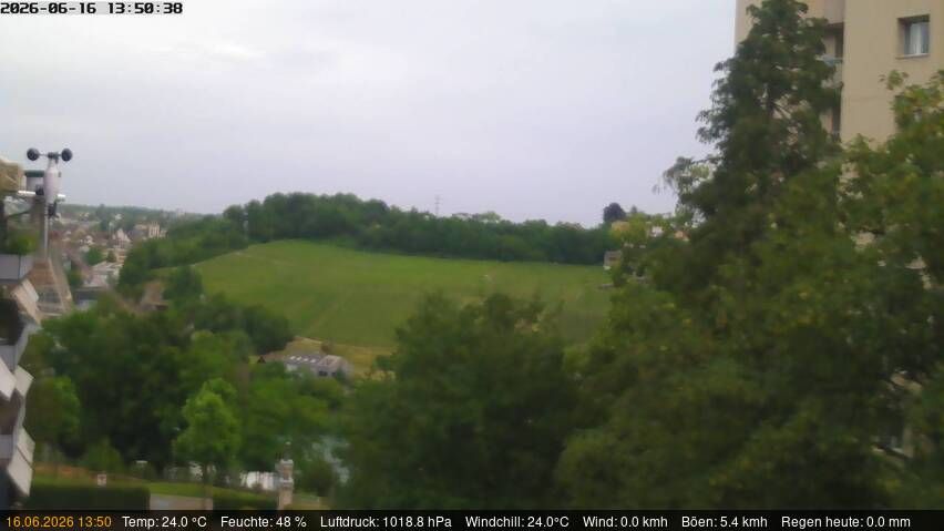Neuhausen am Rheinfall › Nordosten: Schaffhausen, Schweiz: Nordost (Flurlingen/ Schaffhausen)