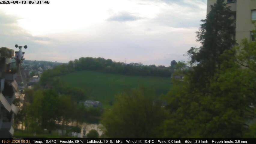 Neuhausen am Rheinfall › Nordosten: Schaffhausen, Schweiz: Nordost (Flurlingen/ Schaffhausen)