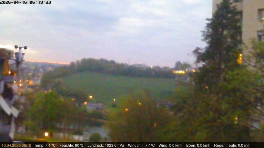 Neuhausen am Rheinfall › Nordosten: Schaffhausen, Schweiz: Nordost (Flurlingen/ Schaffhausen)