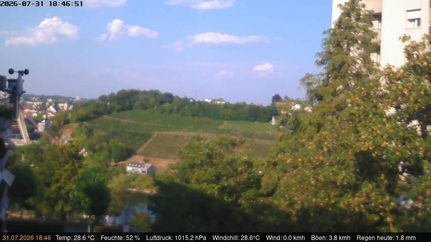 Neuhausen am Rheinfall › Nordosten: Schaffhausen, Schweiz: Nordost (Flurlingen/ Schaffhausen)