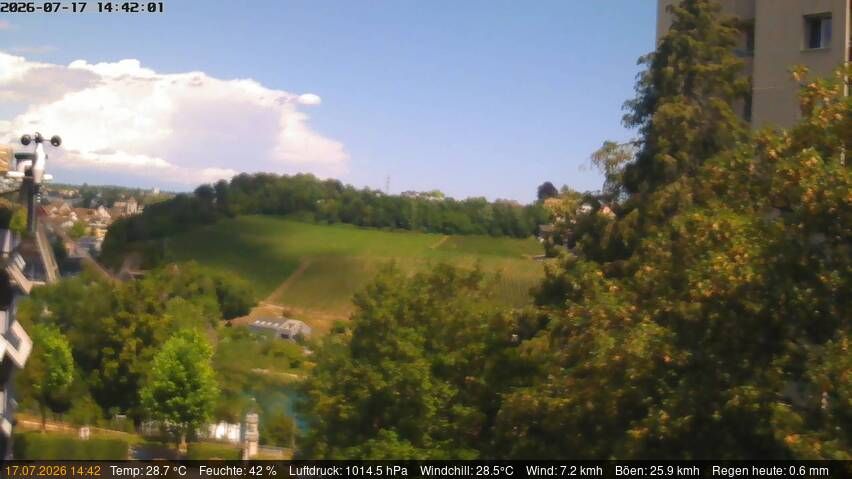 Neuhausen am Rheinfall › Nordosten: Schaffhausen, Schweiz: Nordost (Flurlingen/ Schaffhausen)