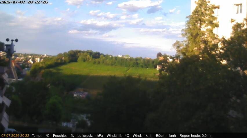 Neuhausen am Rheinfall › Nordosten: Schaffhausen, Schweiz: Nordost (Flurlingen/ Schaffhausen)