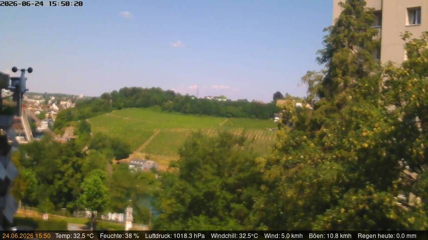 Neuhausen am Rheinfall › Nordosten: Schaffhausen, Schweiz: Nordost (Flurlingen/ Schaffhausen)