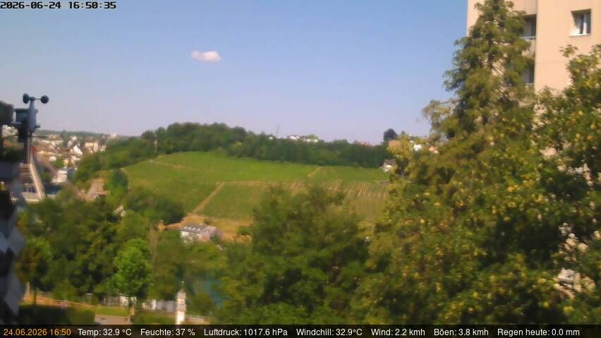 Neuhausen am Rheinfall › Nordosten: Schaffhausen, Schweiz: Nordost (Flurlingen/ Schaffhausen)