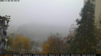 Neuhausen am Rheinfall › Nord-Ost: Nordost (Flurlingen)