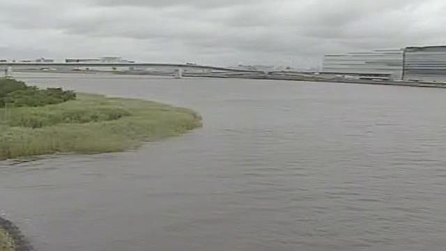 Kawasaki: Tama River Webcam