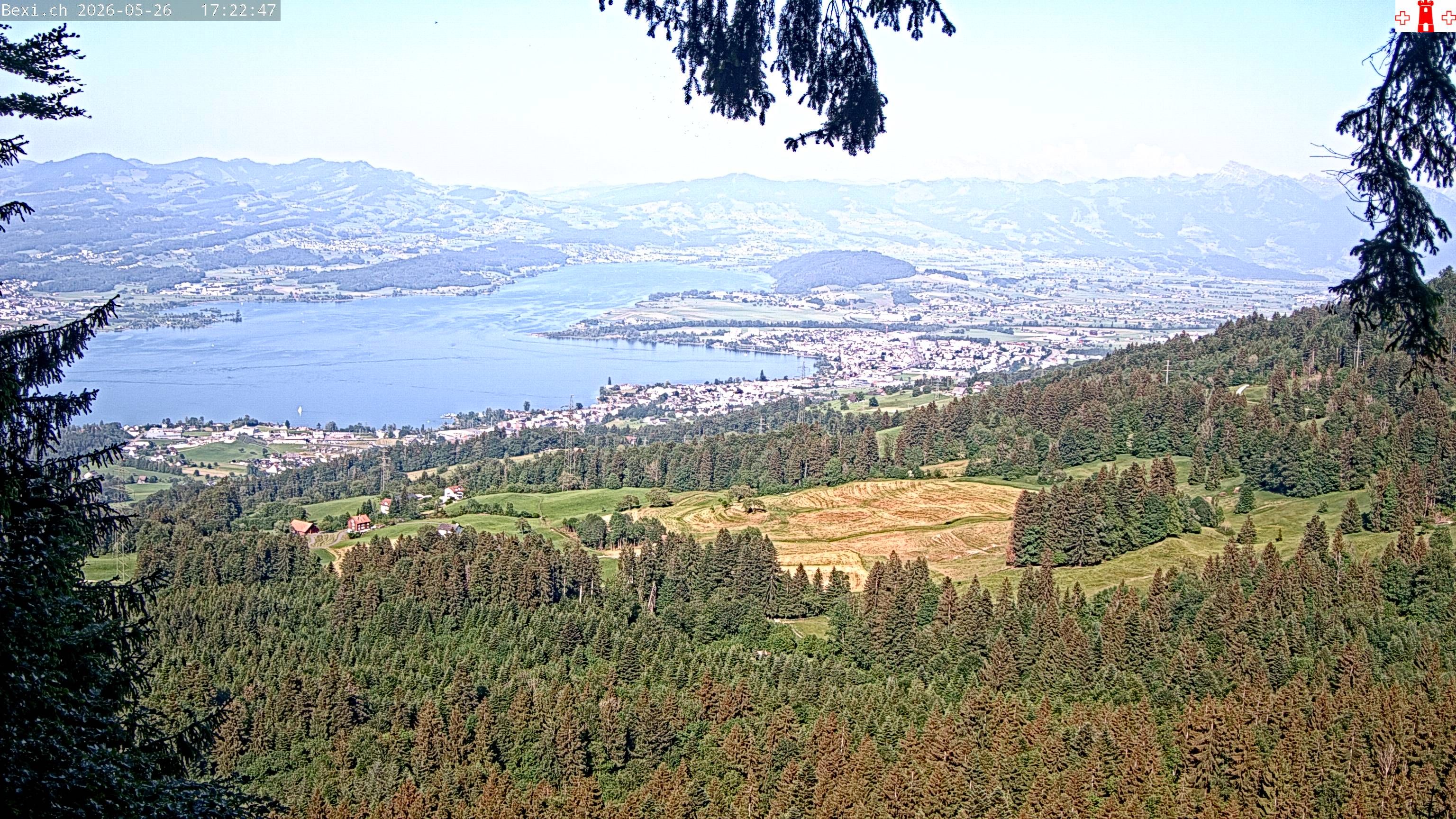Feusisberg › Osten: Zürichsee