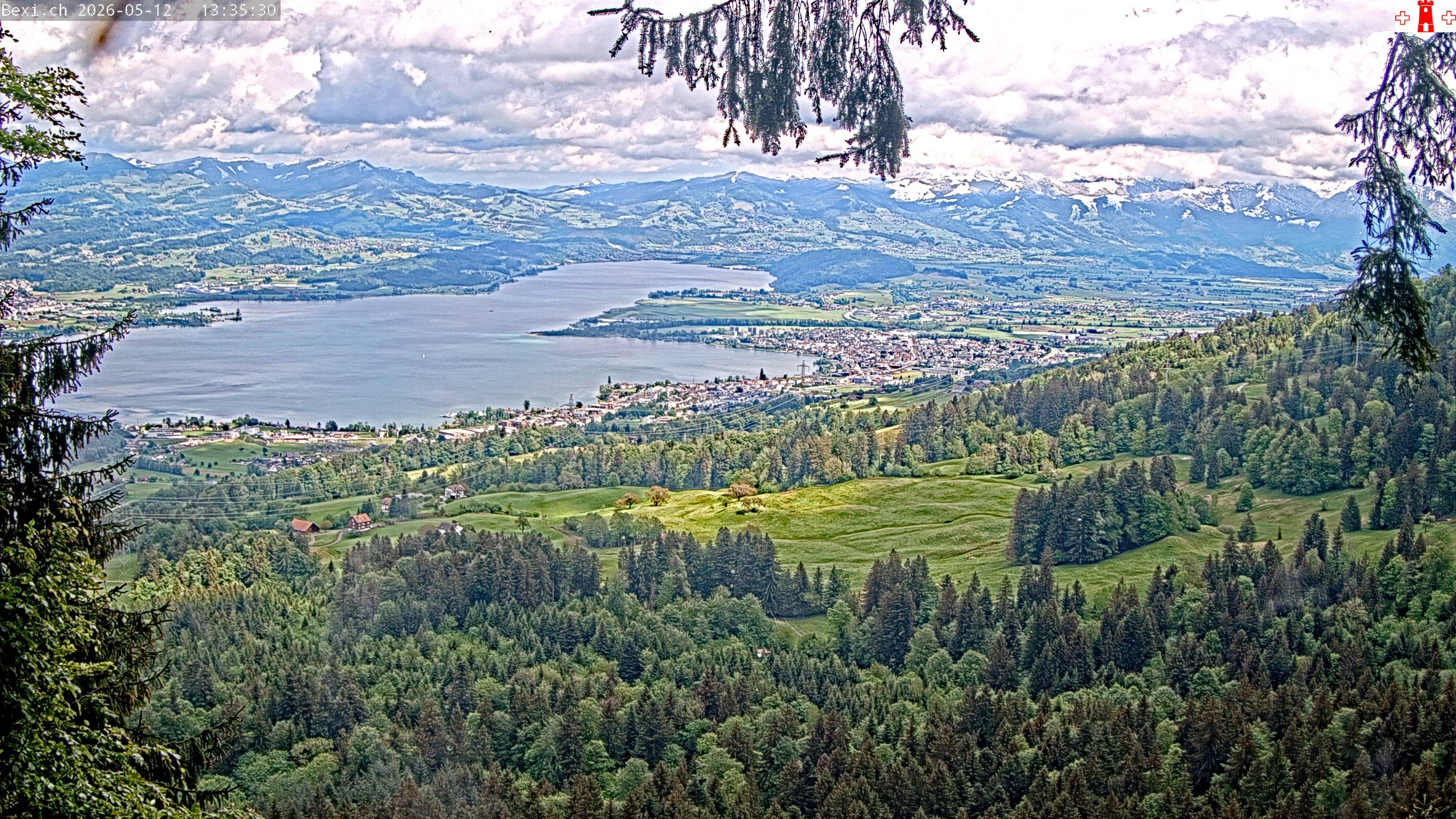 Feusisberg › Osten: Zürichsee