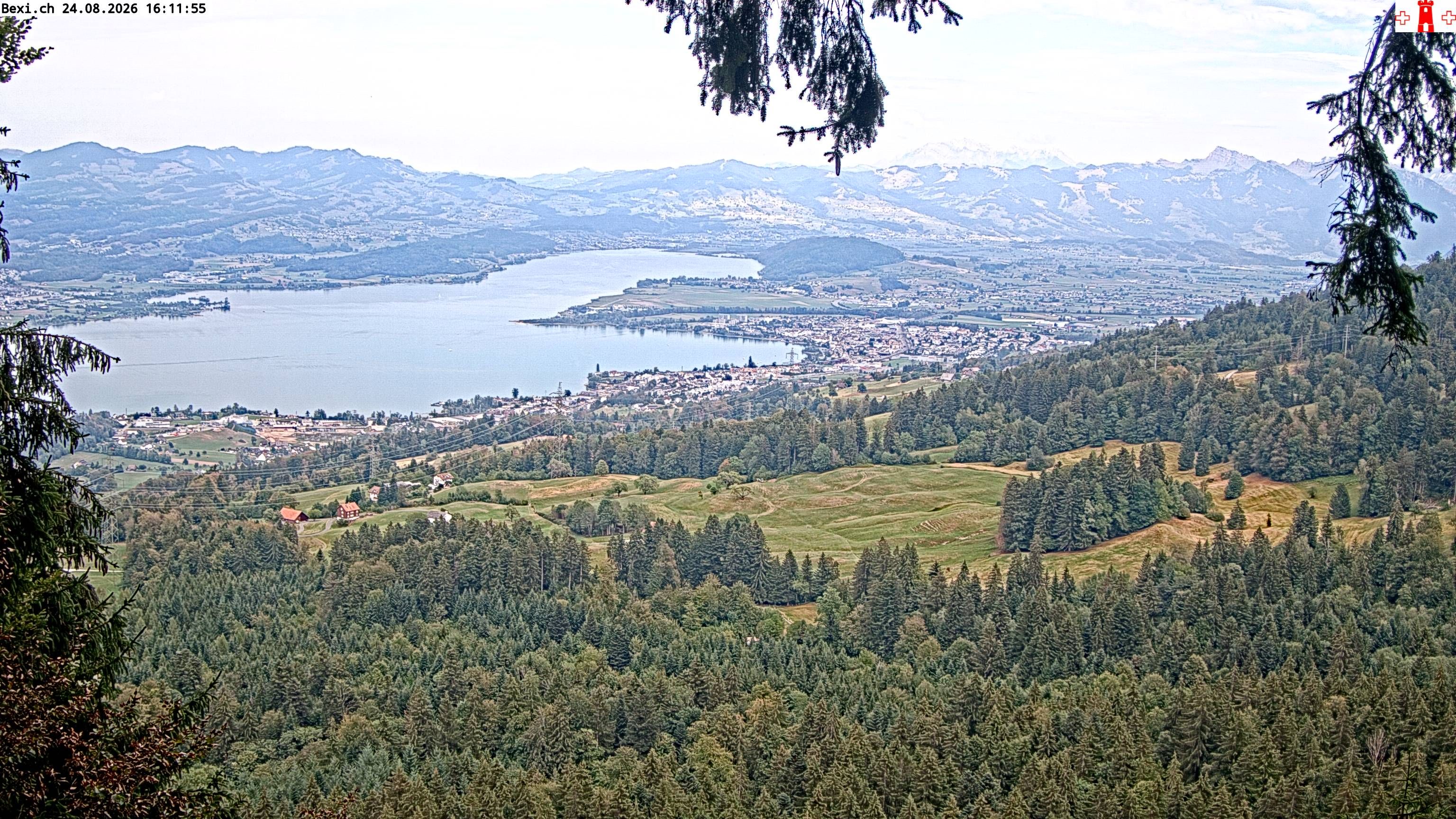 Feusisberg › Osten: Zürichsee