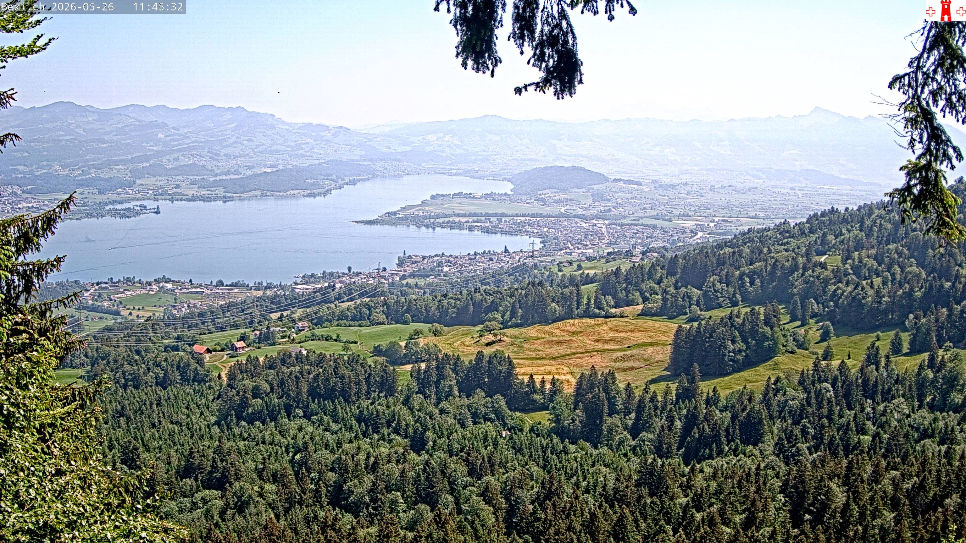 Feusisberg › Osten: Zürichsee