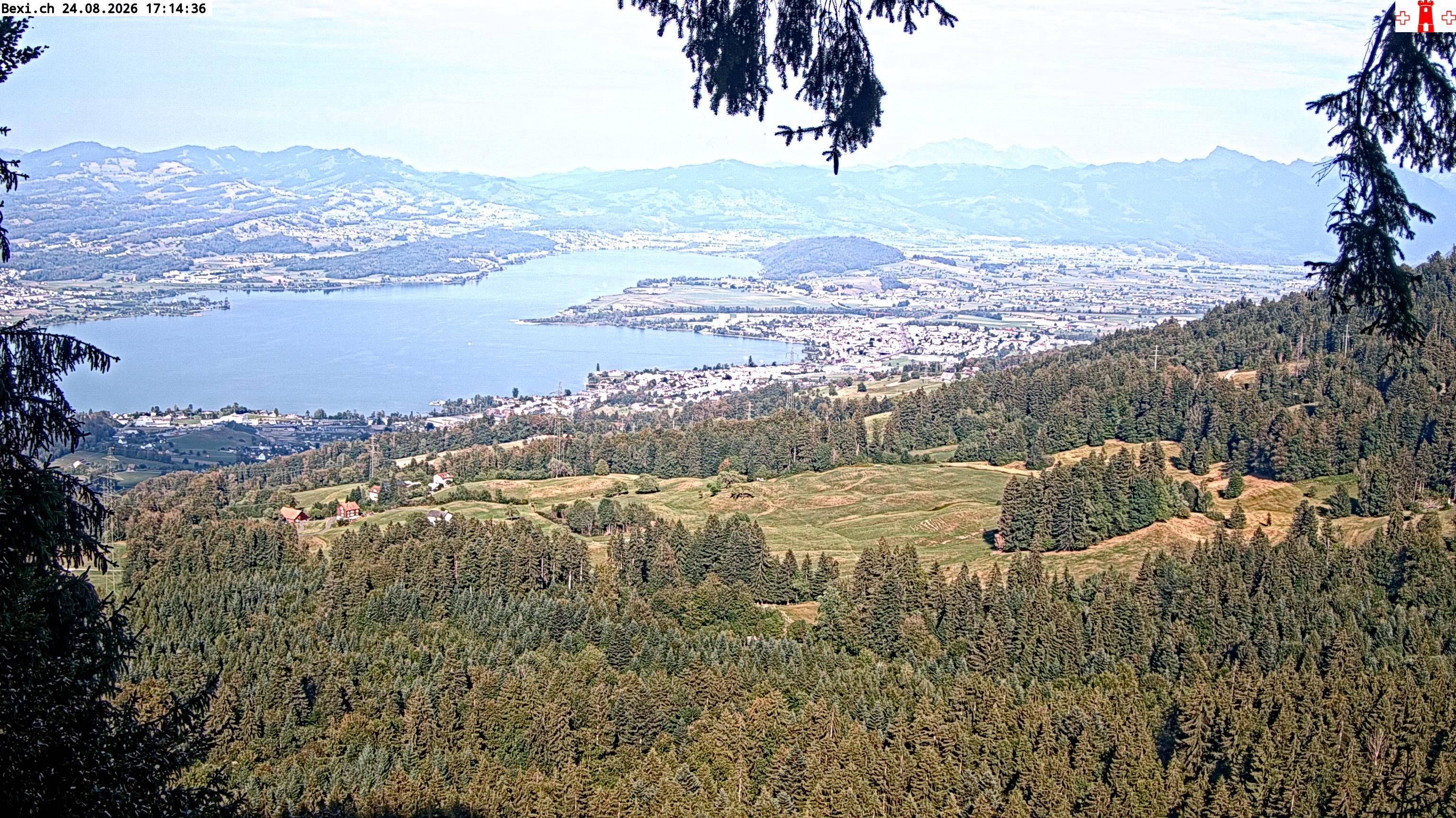 Feusisberg › Osten: Zürichsee