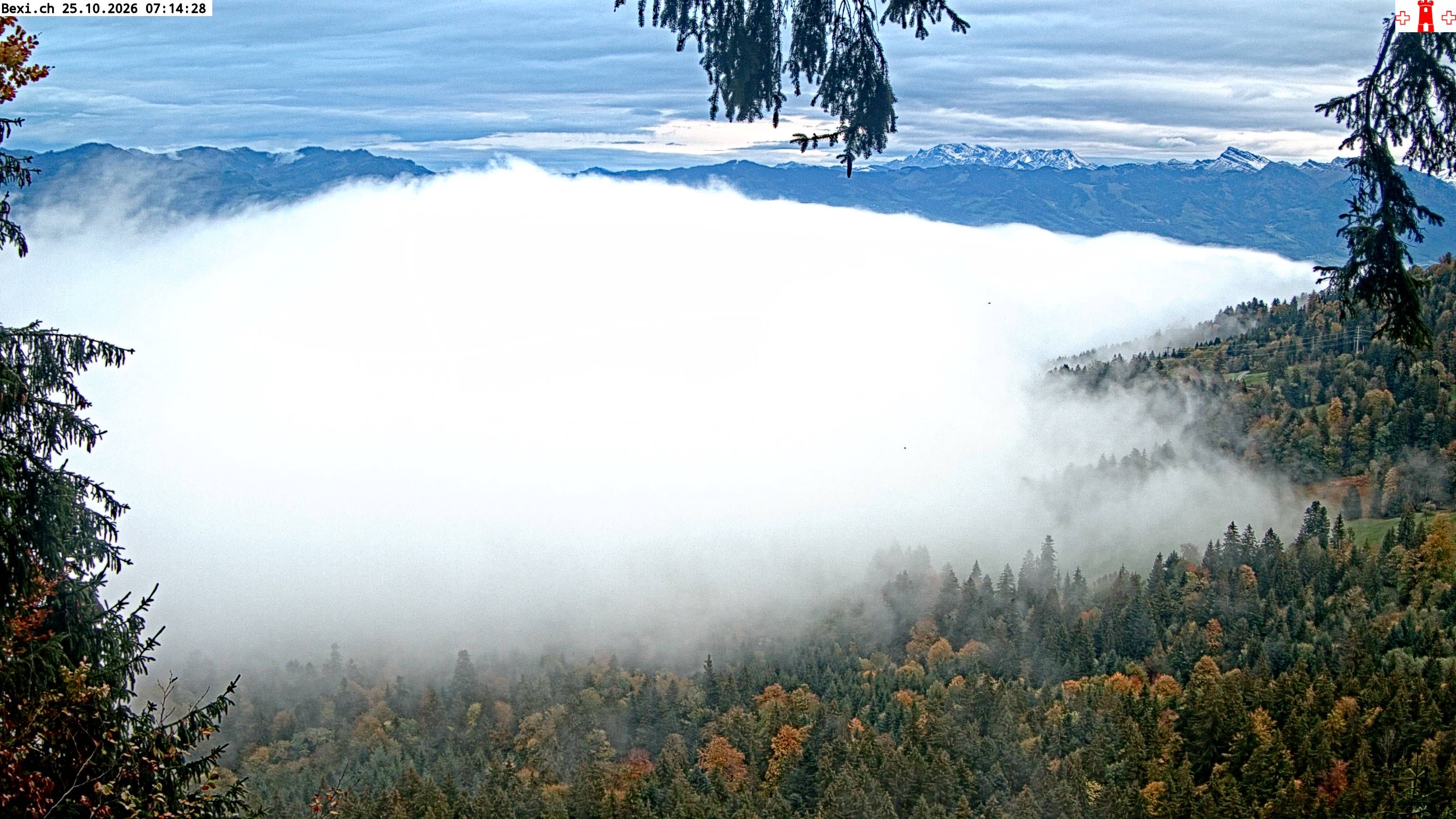 Feusisberg › Osten: Zürichsee