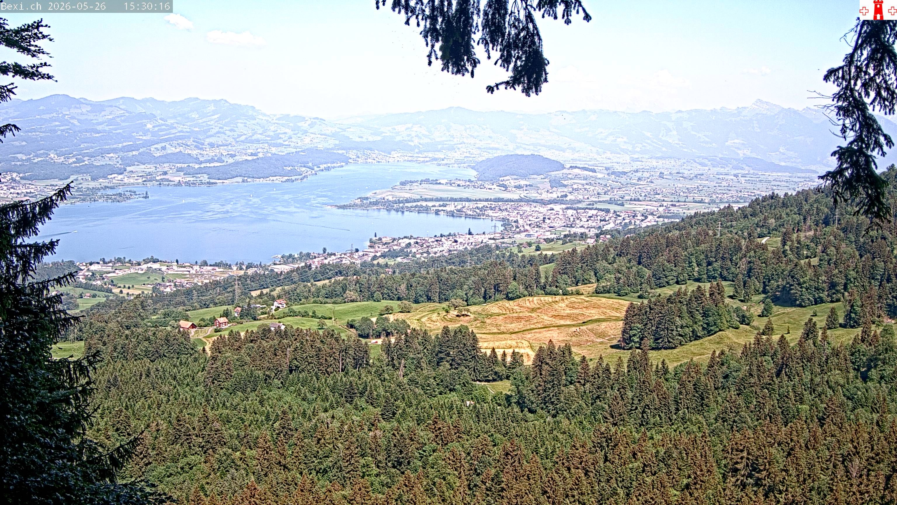 Feusisberg › Osten: Zürichsee