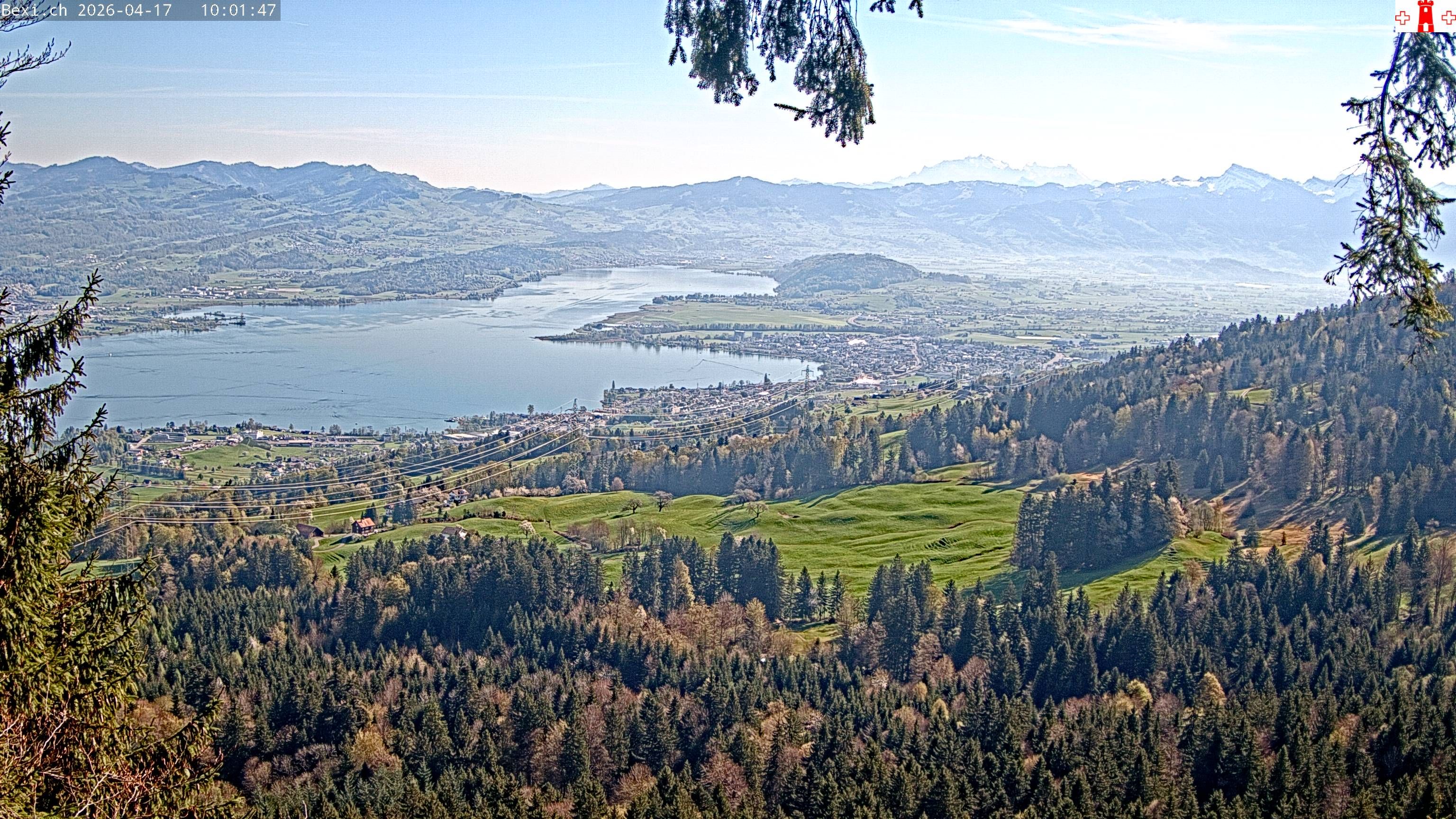 Feusisberg › Osten: Zürichsee