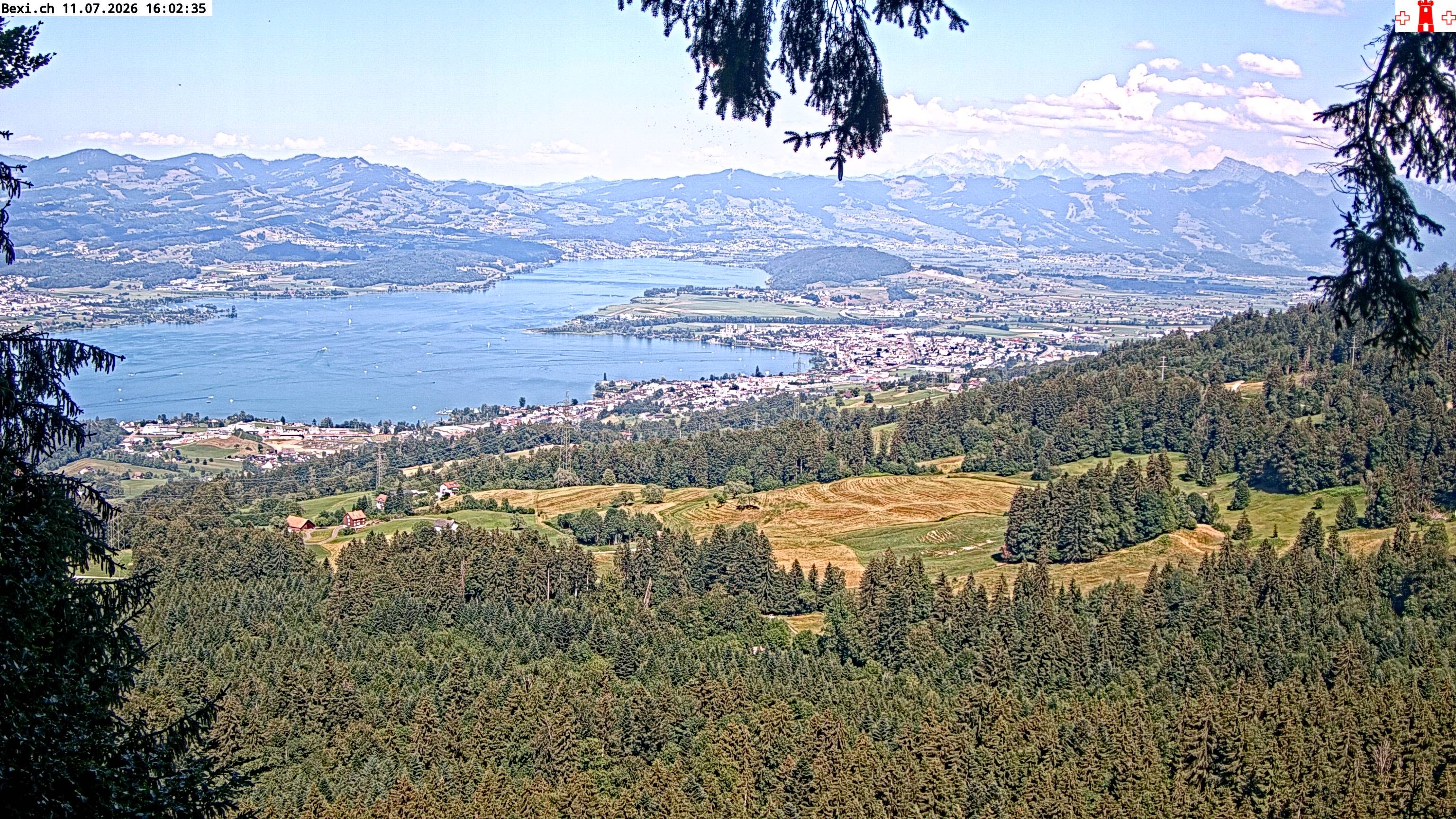 Feusisberg › Osten: Zürichsee