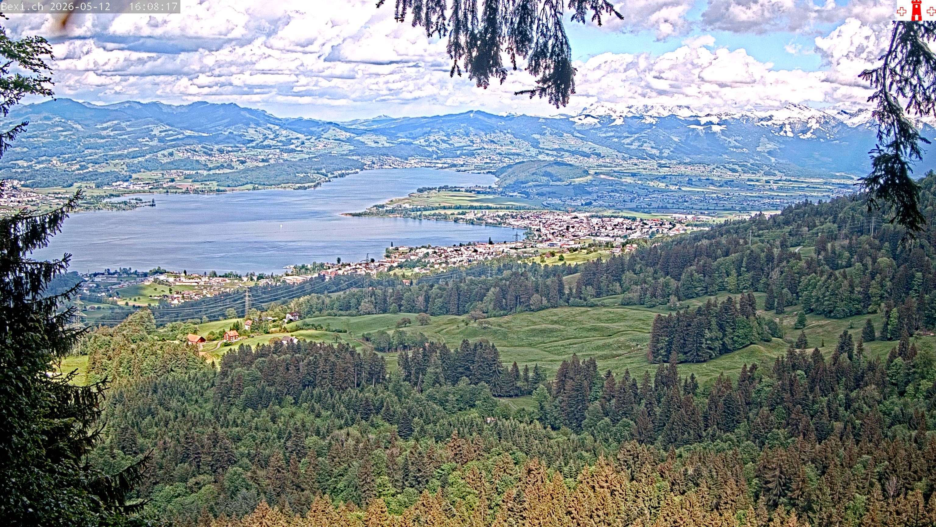 Feusisberg › Osten: Zürichsee