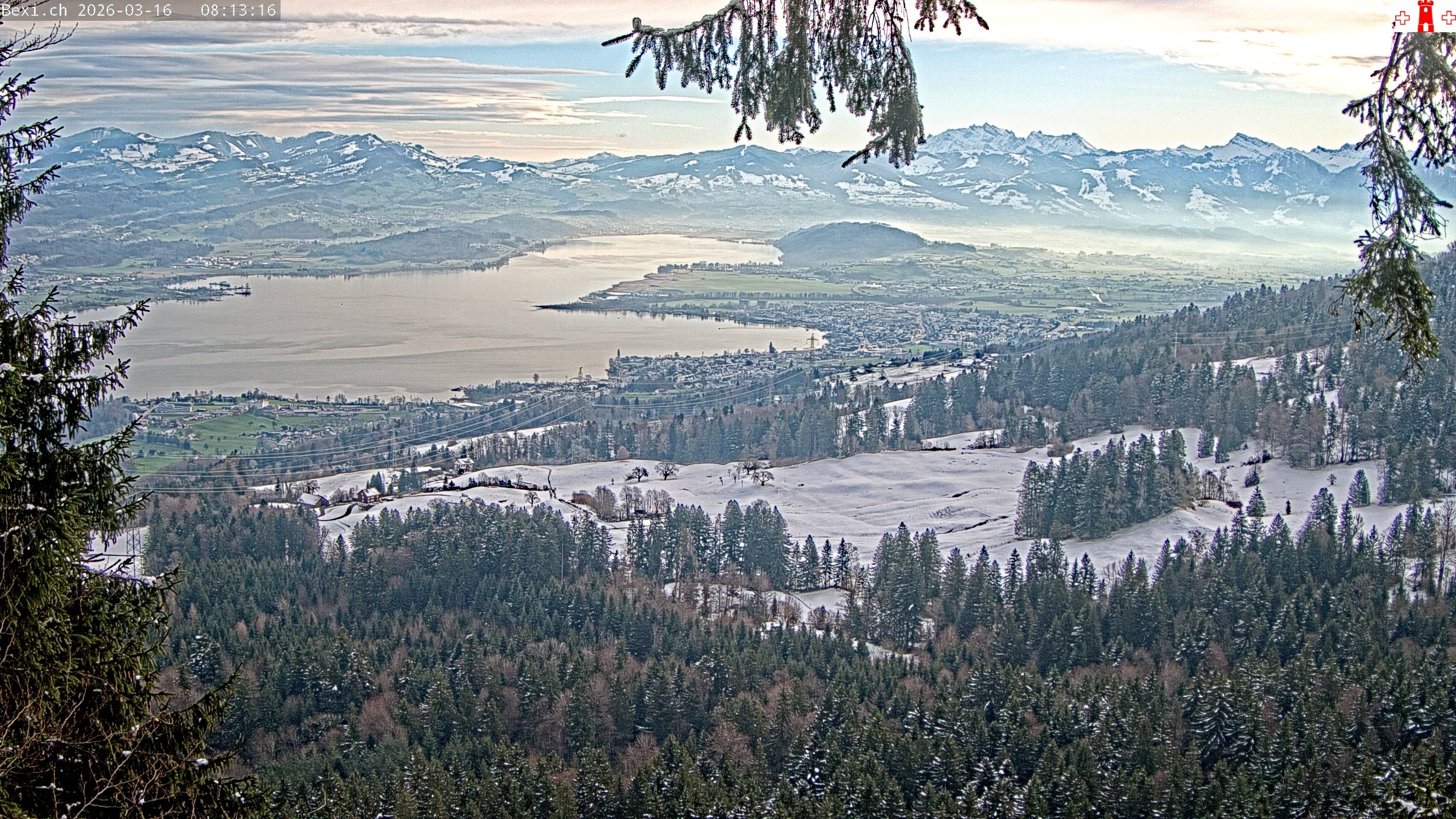 Feusisberg › Osten: Zürichsee