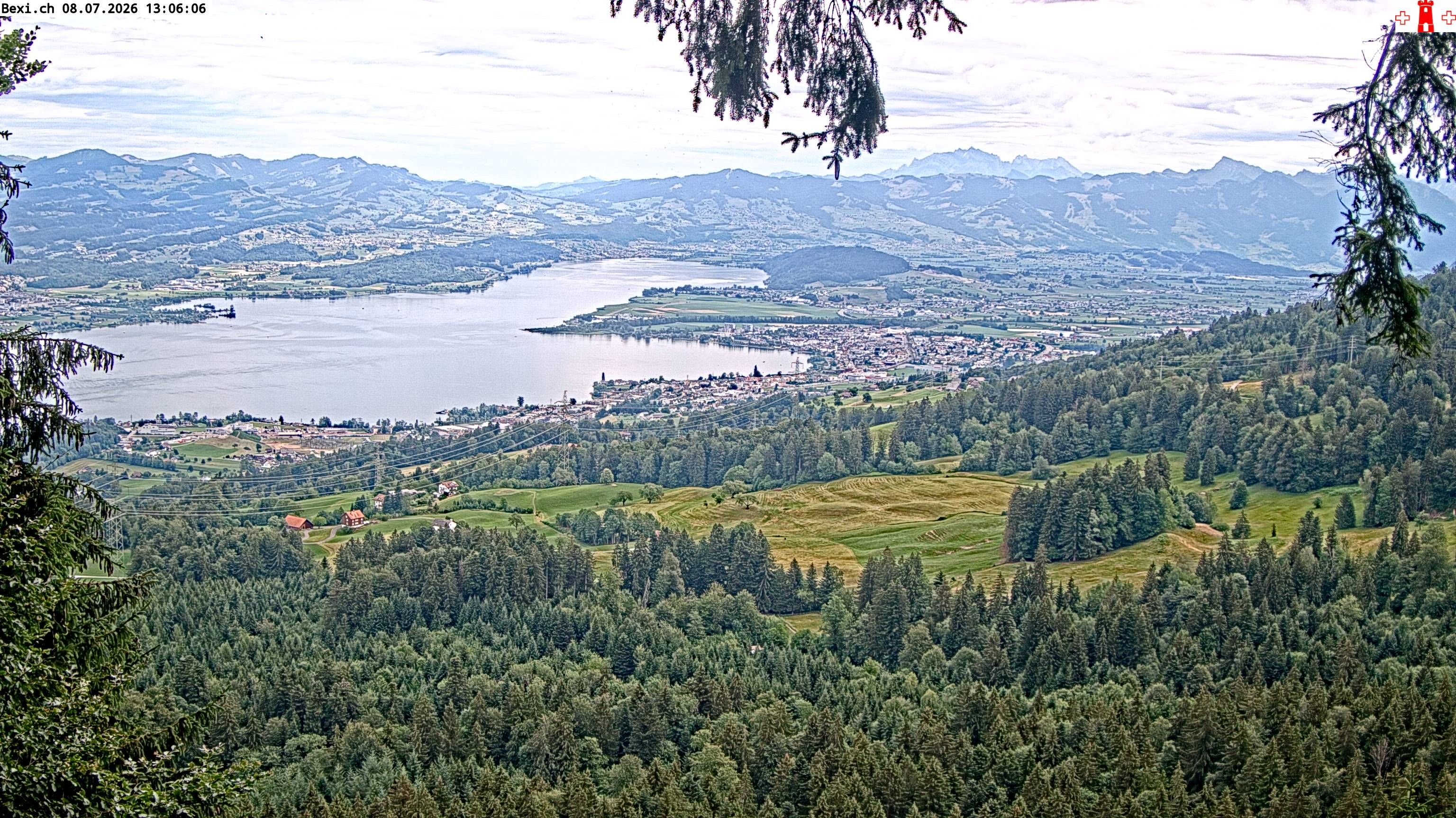 Feusisberg › Osten: Zürichsee