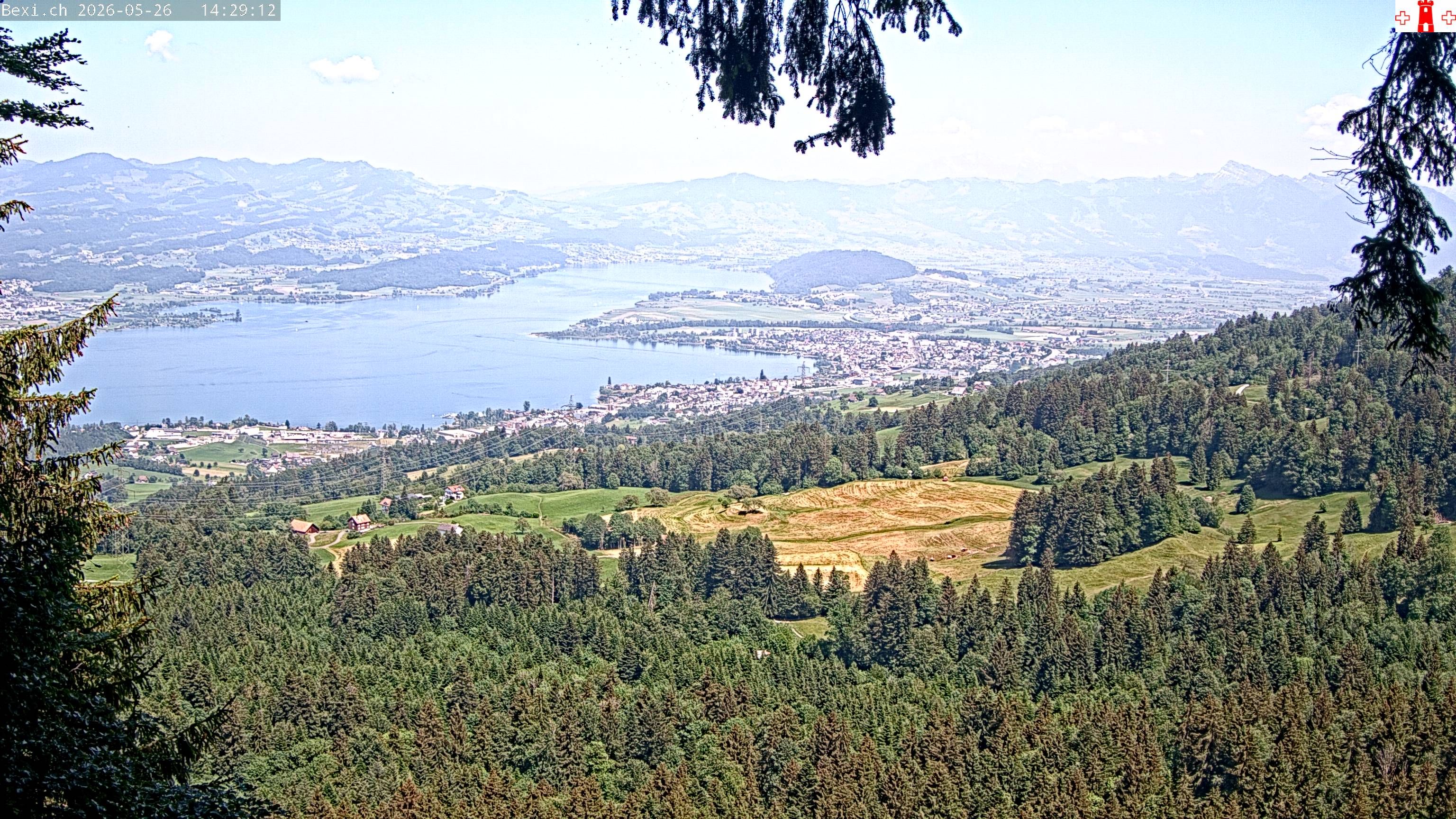 Feusisberg › Osten: Zürichsee