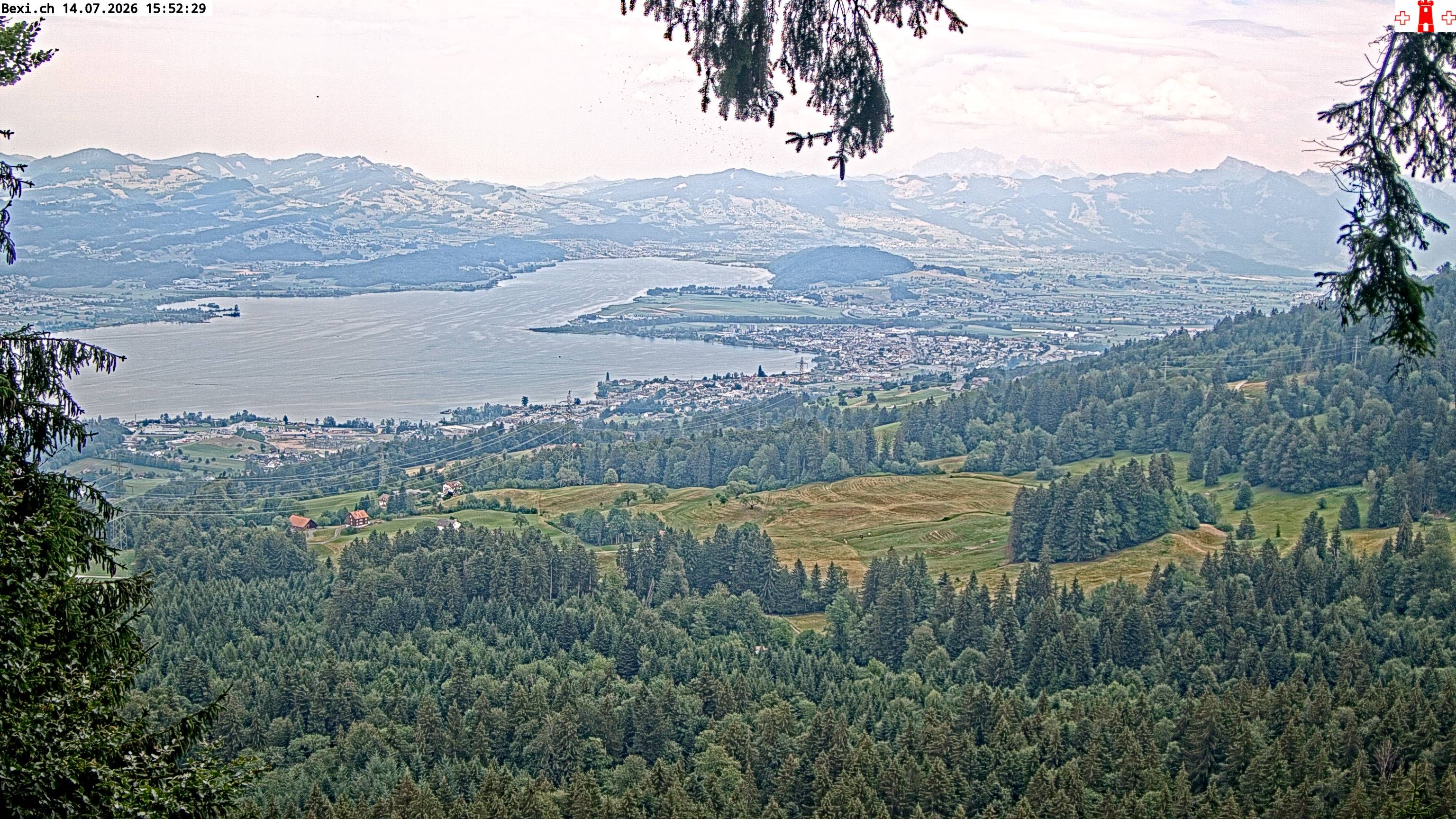 Feusisberg › Osten: Zürichsee