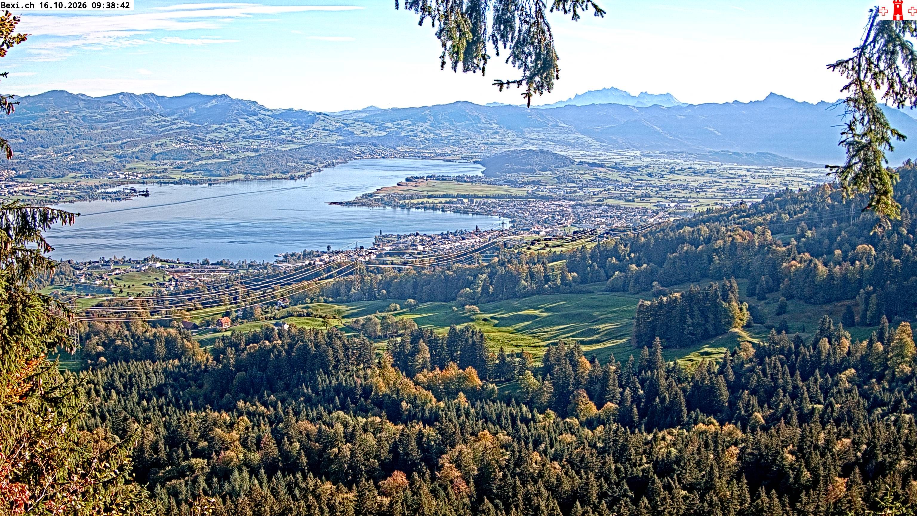 Feusisberg › Osten: Zürichsee