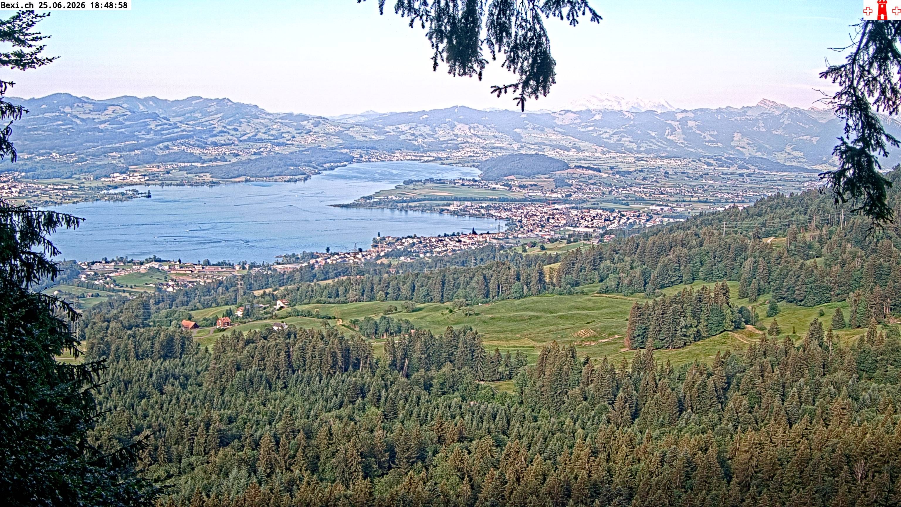Feusisberg › Osten: Zürichsee
