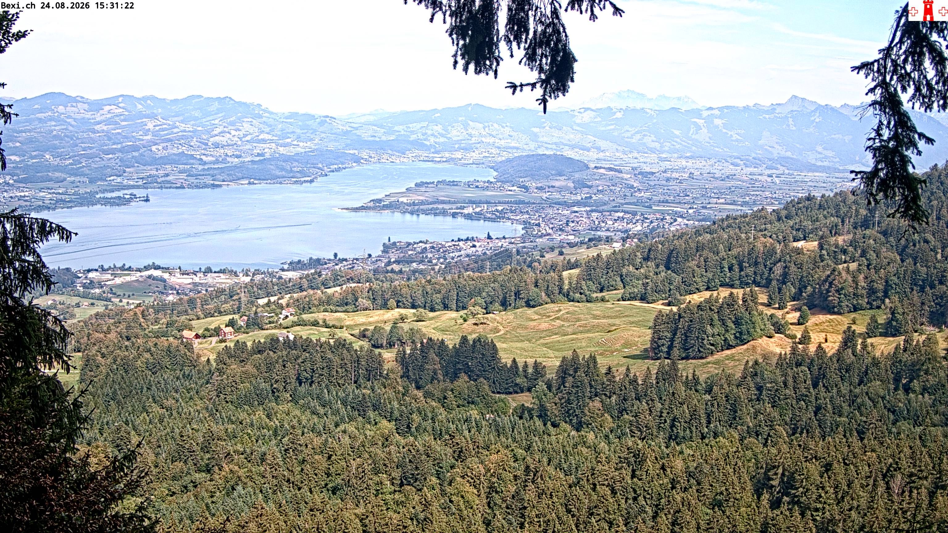 Feusisberg › Osten: Zürichsee