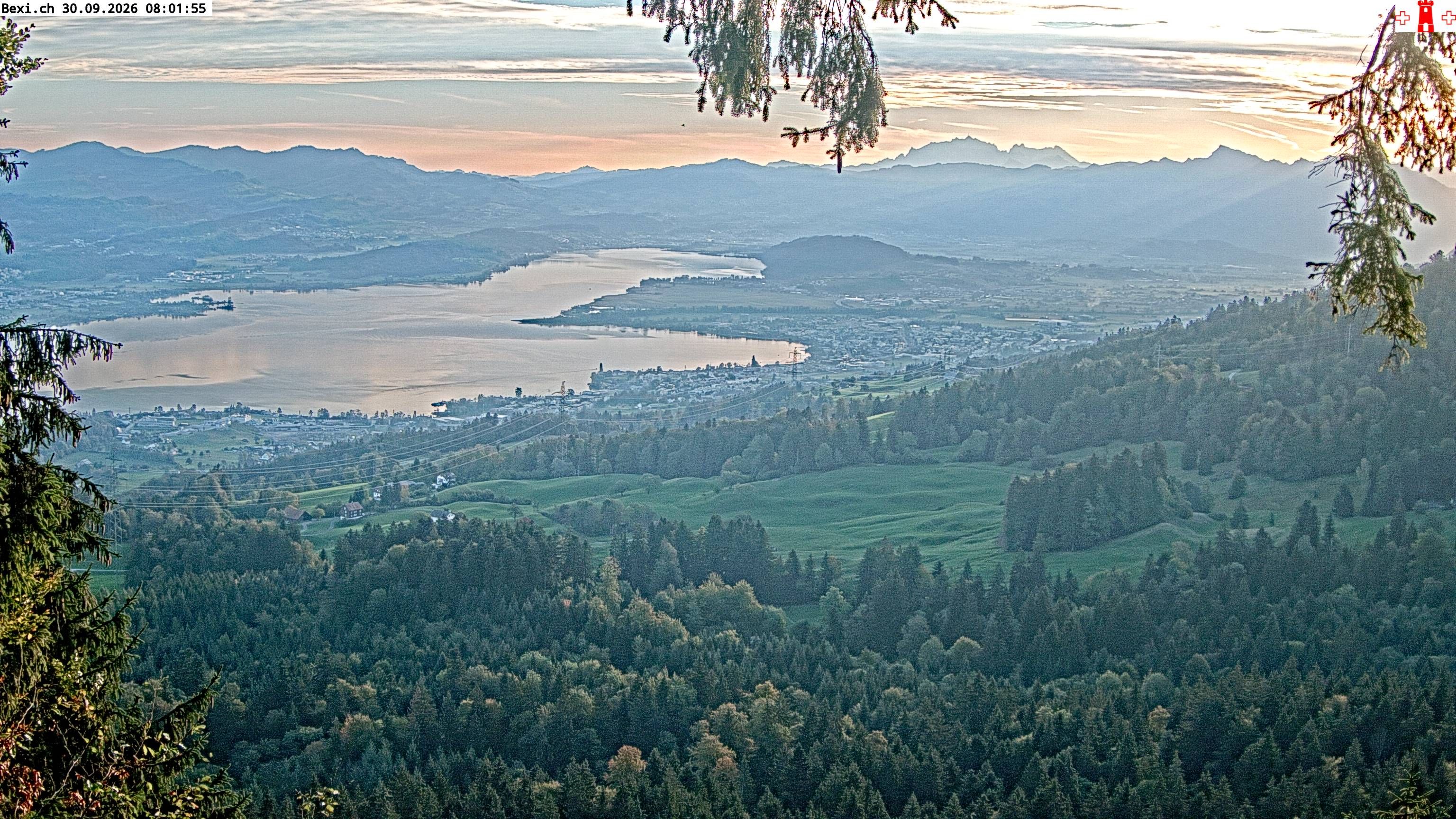 Feusisberg › Osten: Zürichsee