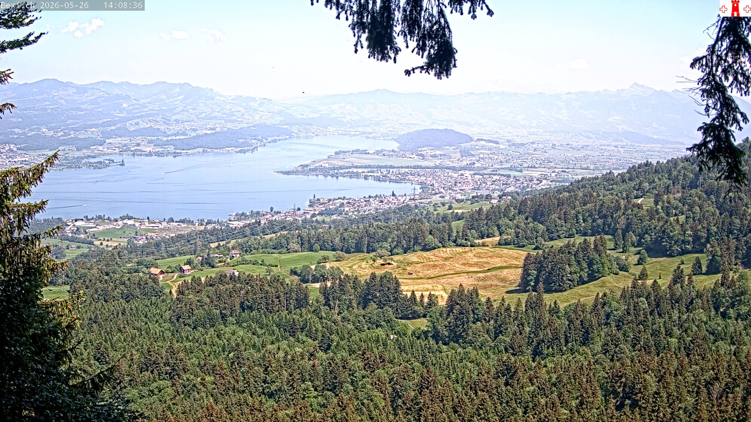 Feusisberg › Osten: Zürichsee