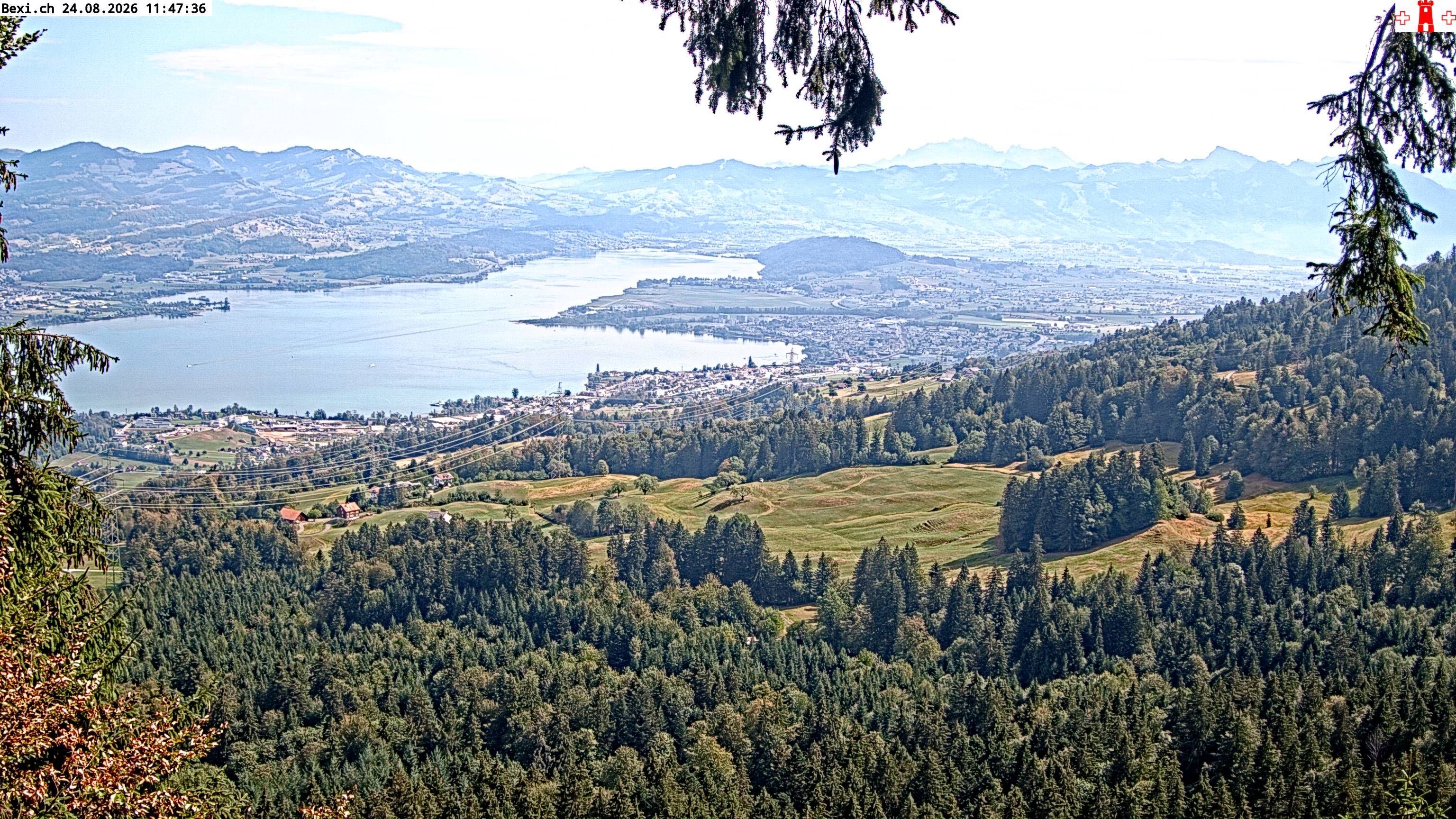 Feusisberg › Osten: Zürichsee