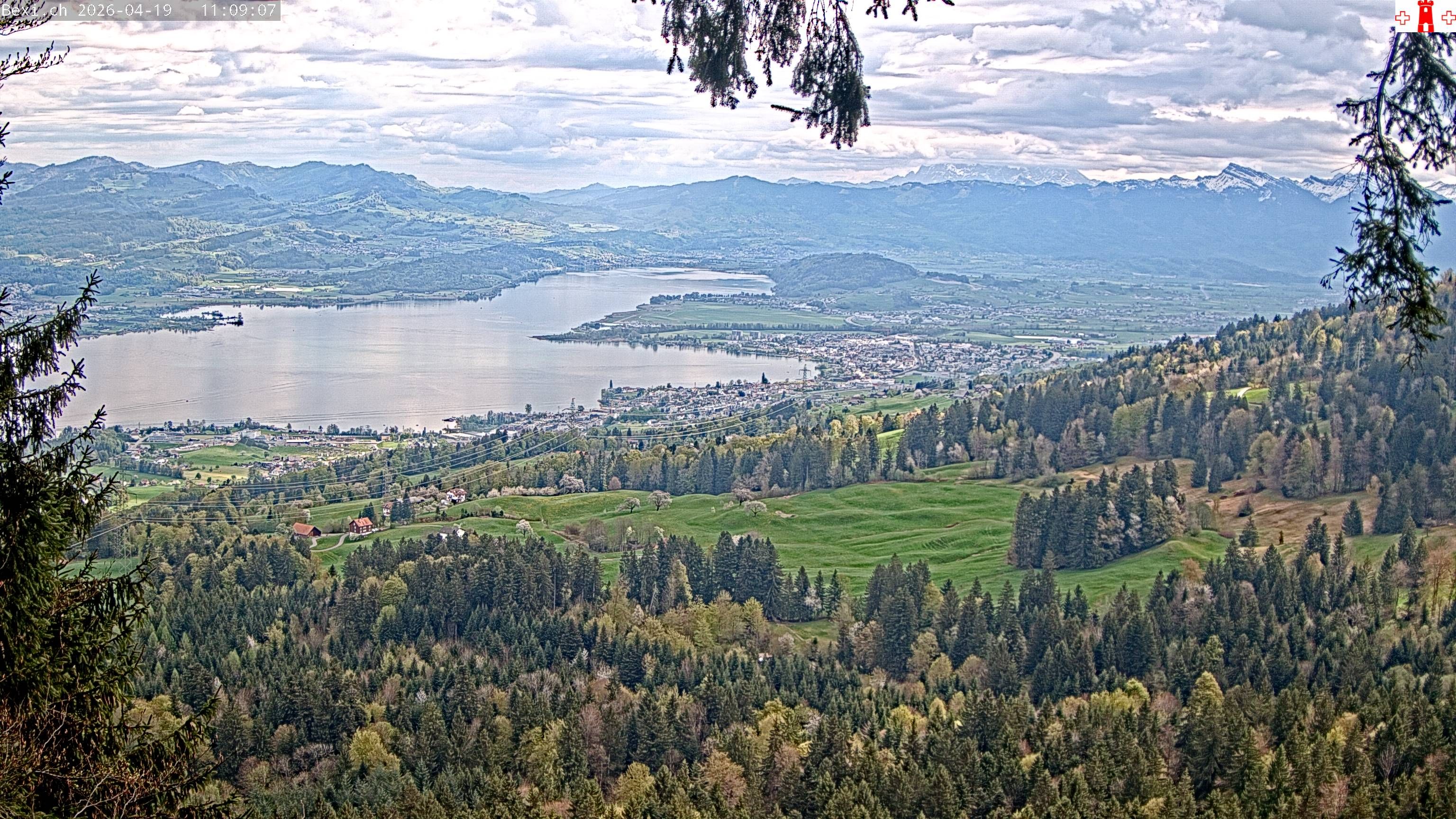 Feusisberg › Osten: Zürichsee
