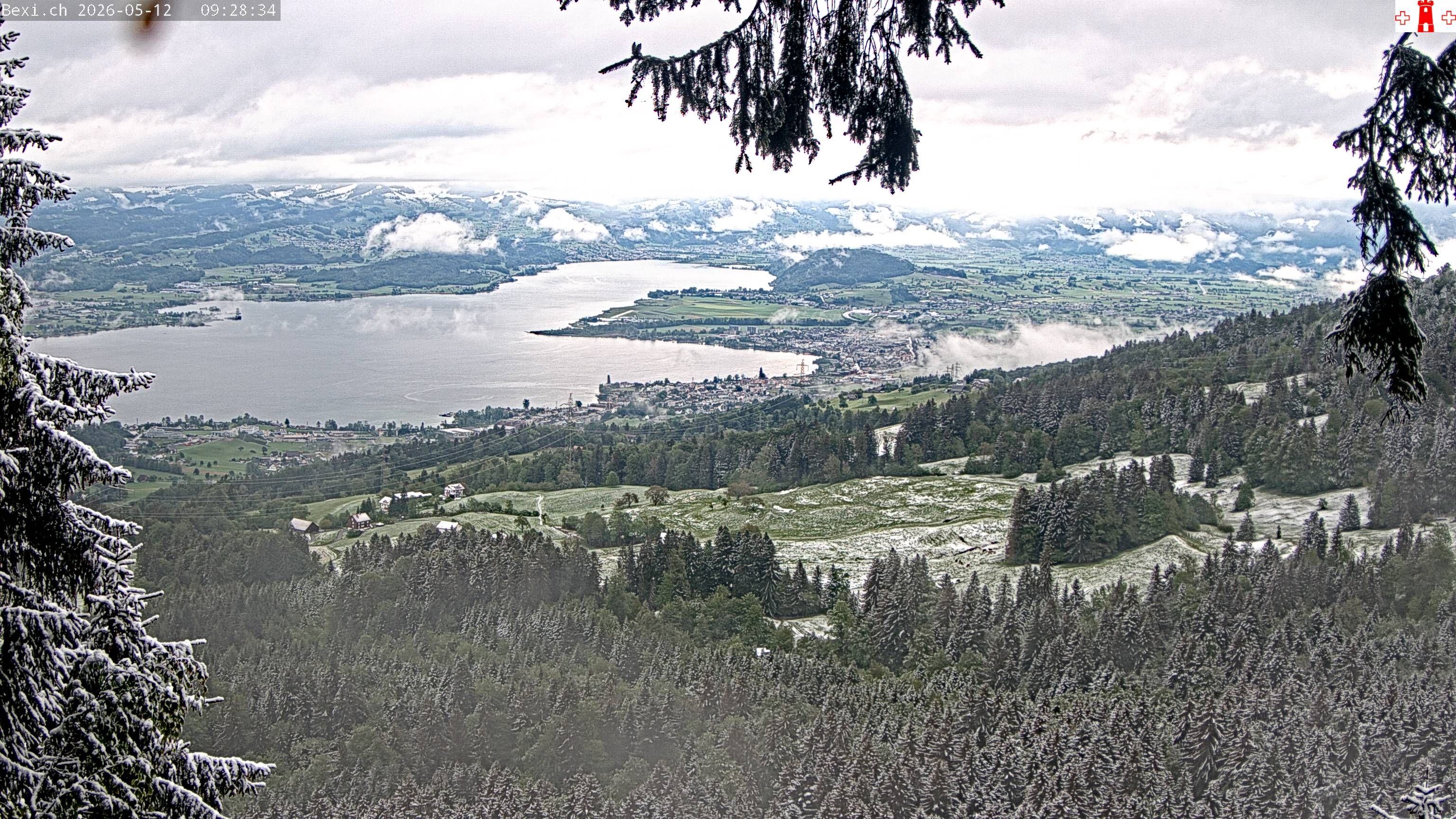 Feusisberg › Osten: Zürichsee