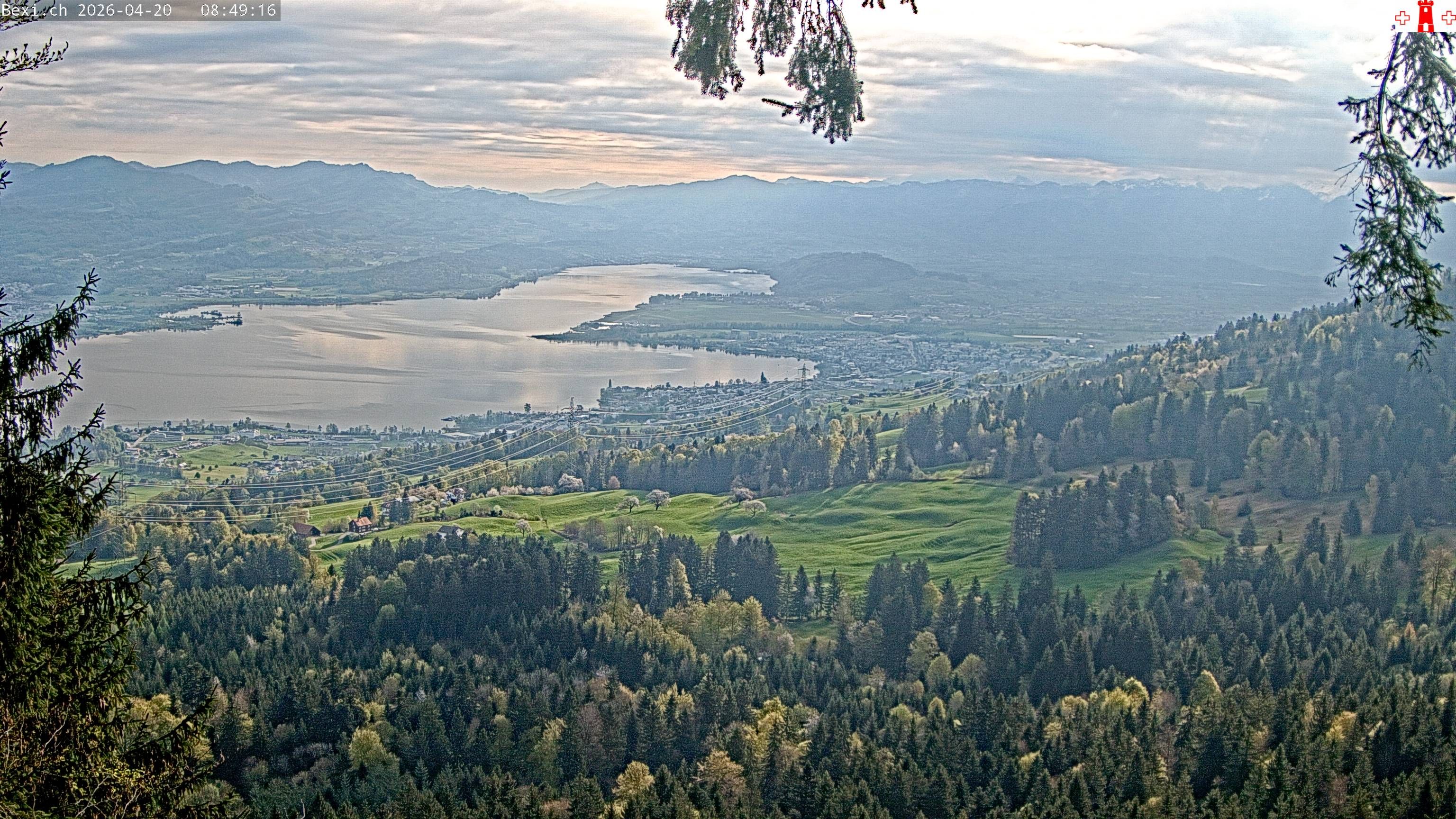 Feusisberg › Osten: Zürichsee