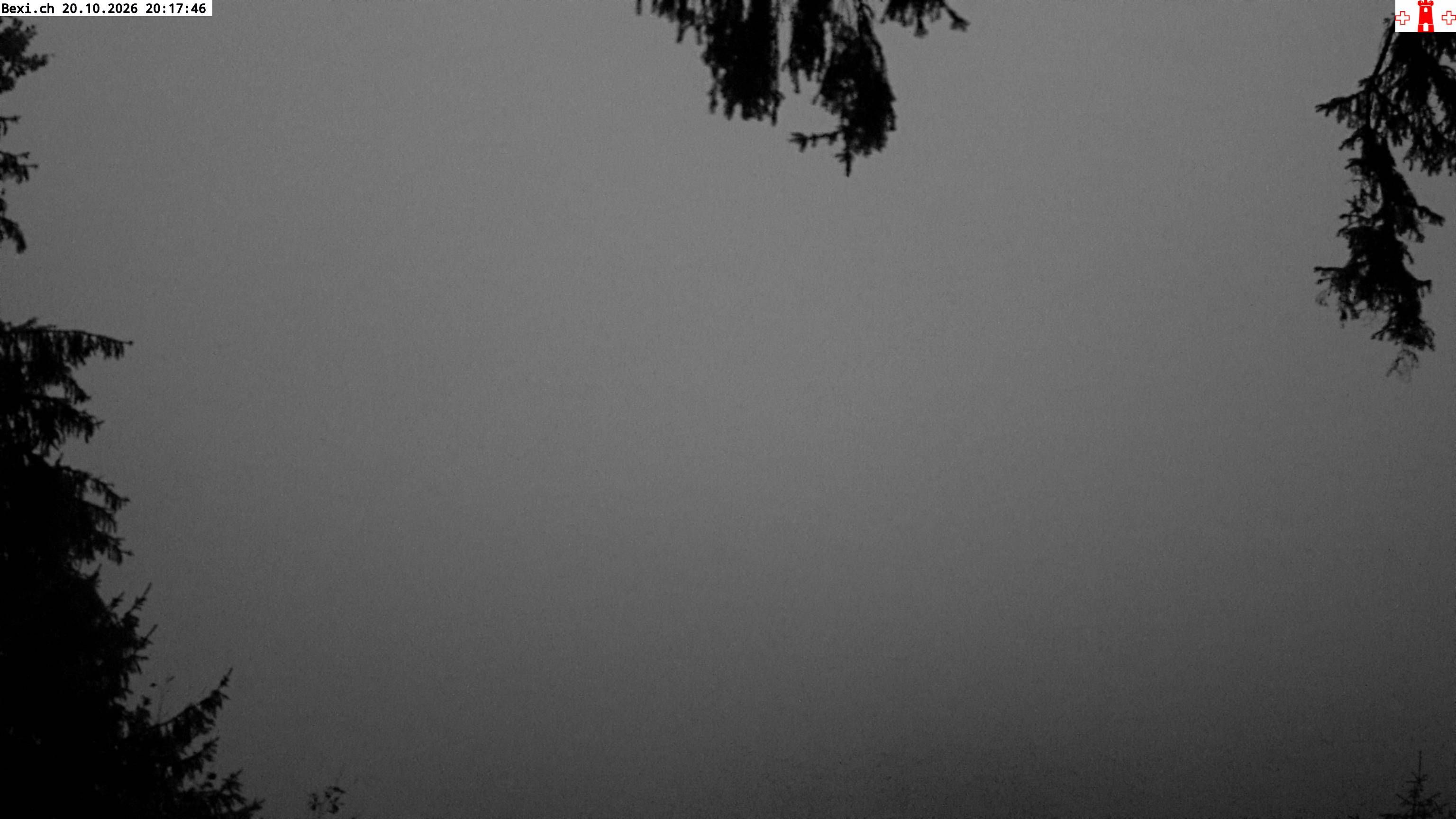 Feusisberg › Osten: Zürichsee