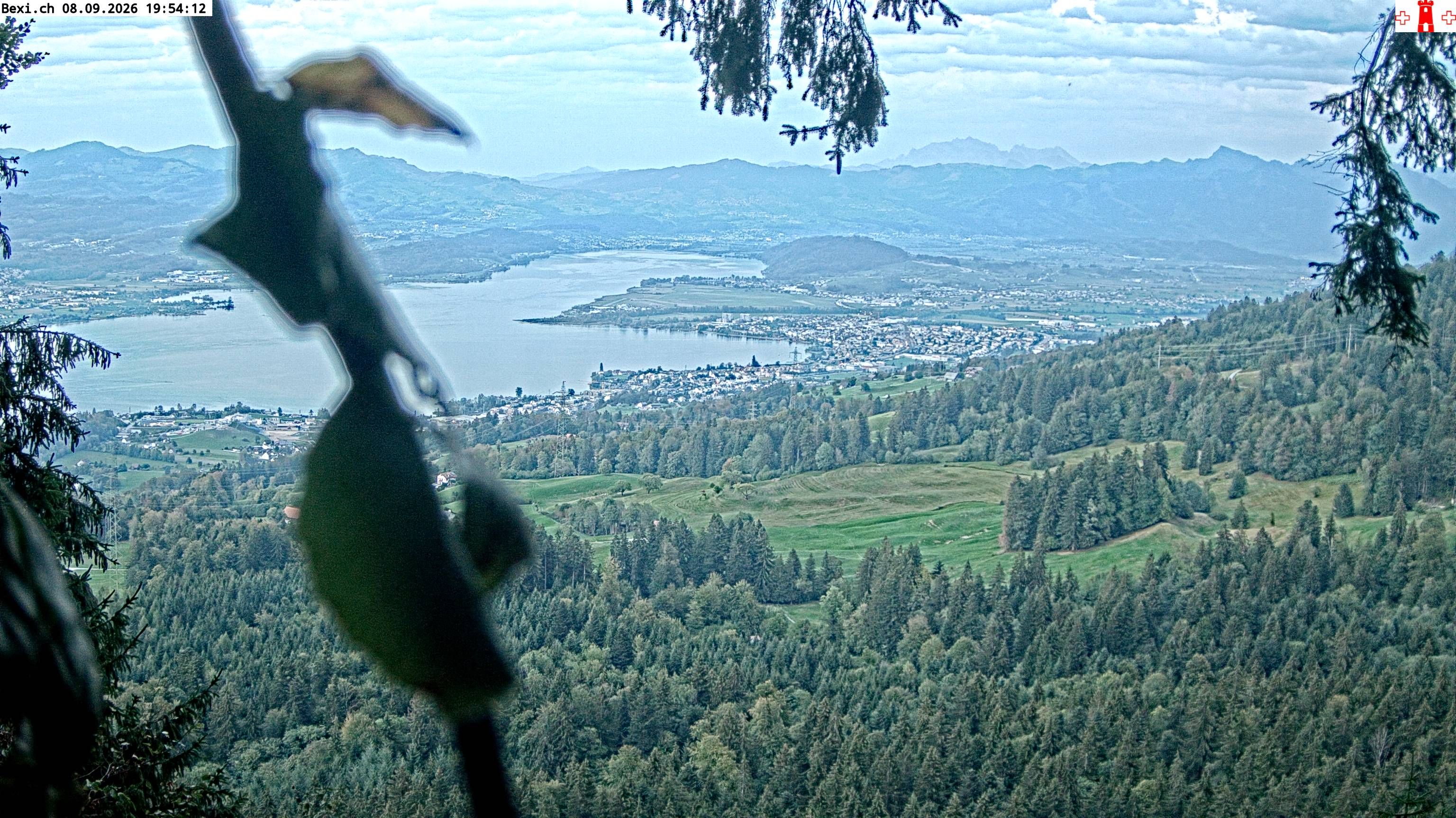 Feusisberg › Osten: Zürichsee