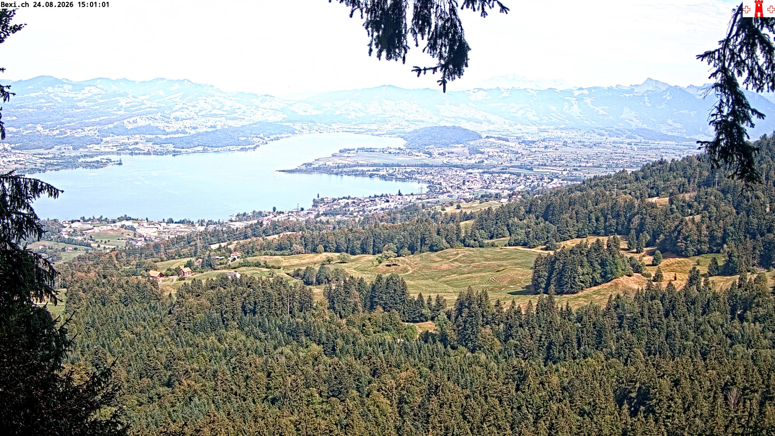 Feusisberg › Osten: Zürichsee