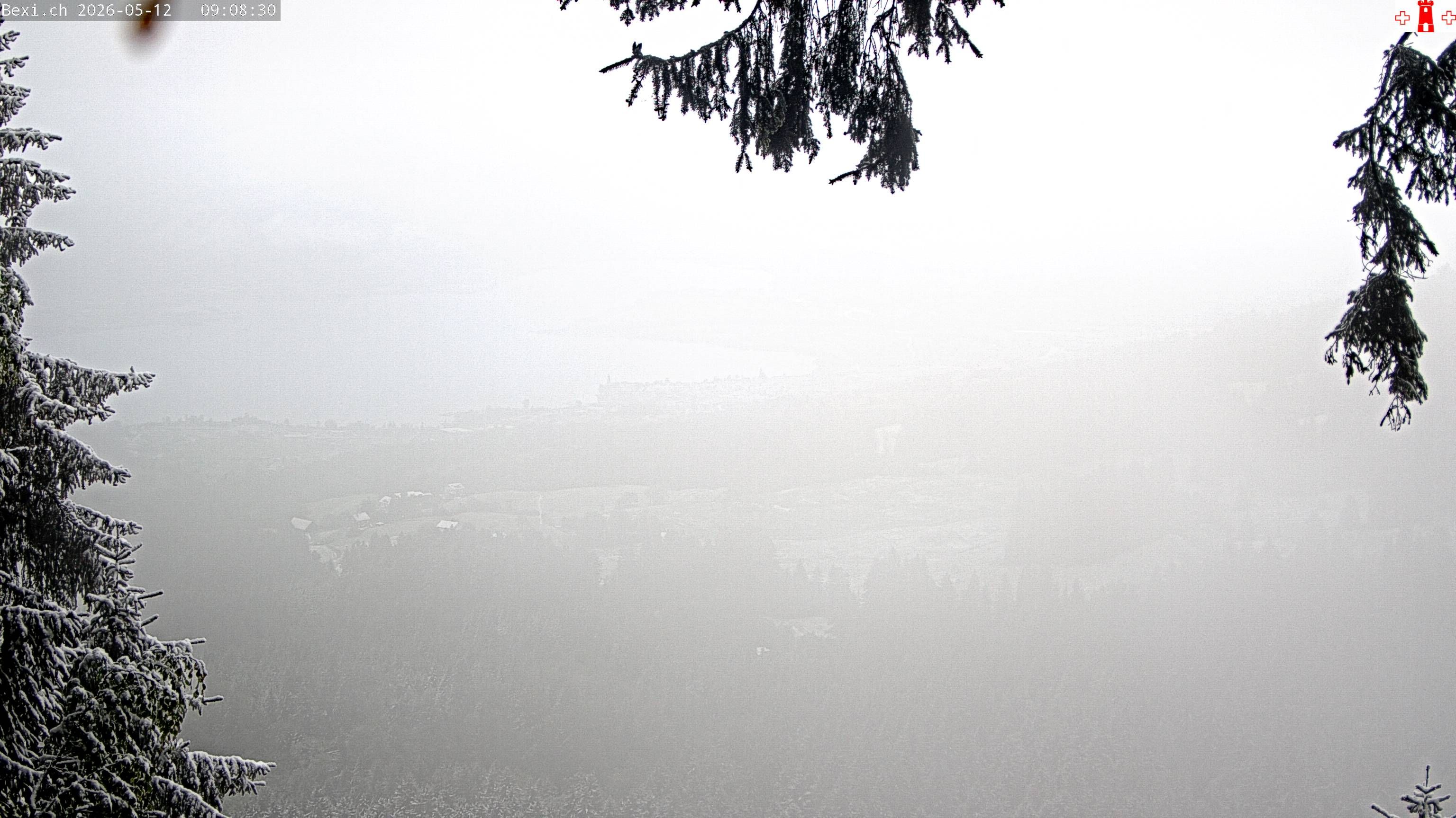 Feusisberg › Osten: Zürichsee