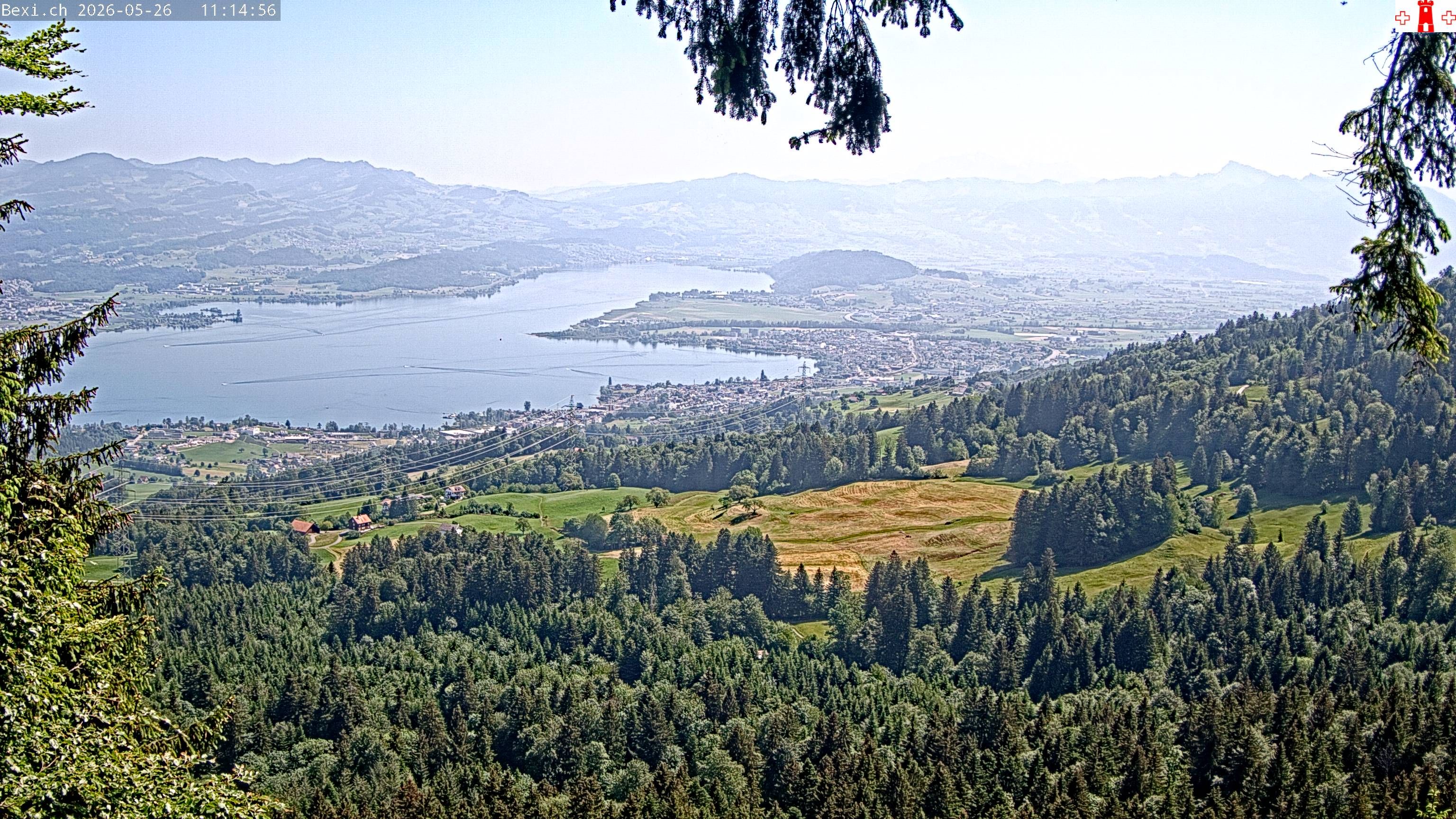 Feusisberg › Osten: Zürichsee