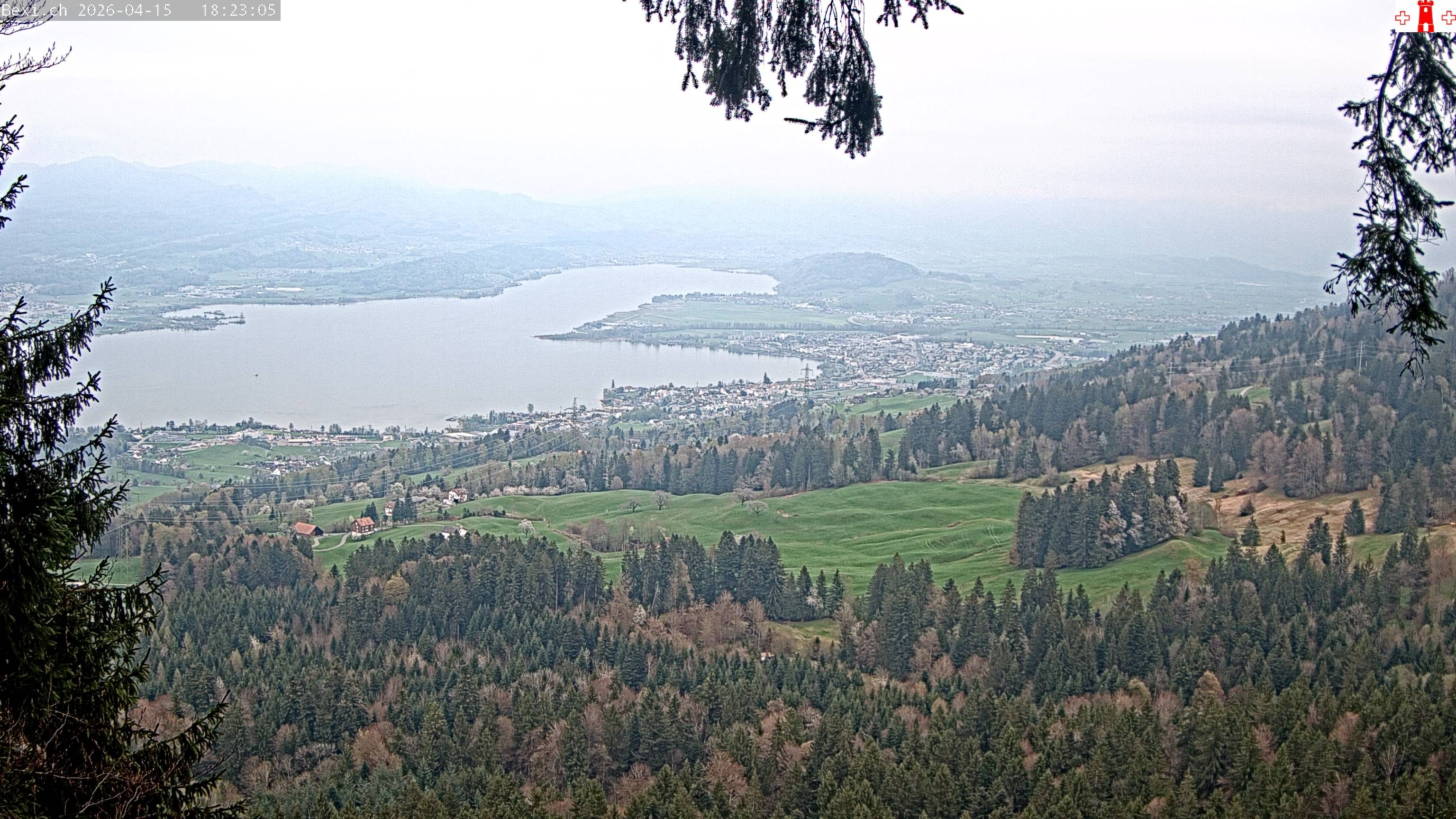 Feusisberg › Osten: Zürichsee