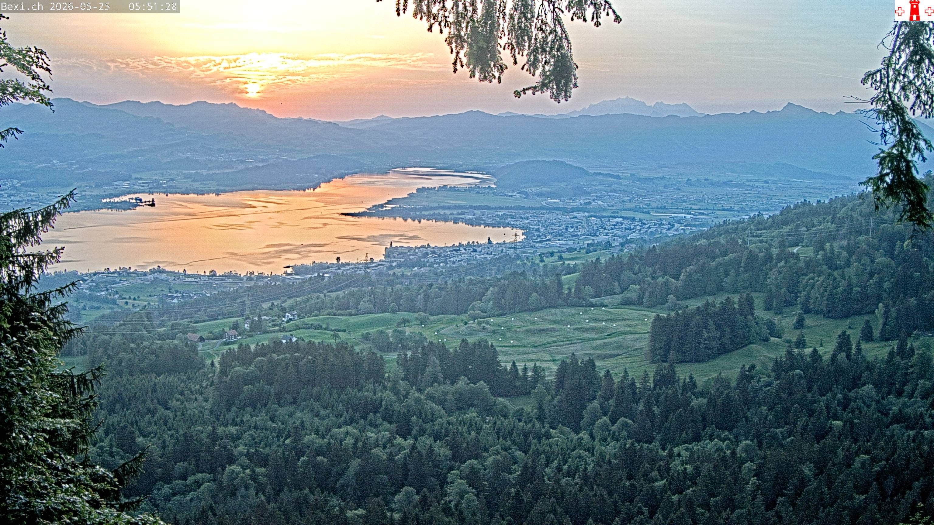 Feusisberg › Osten: Zürichsee