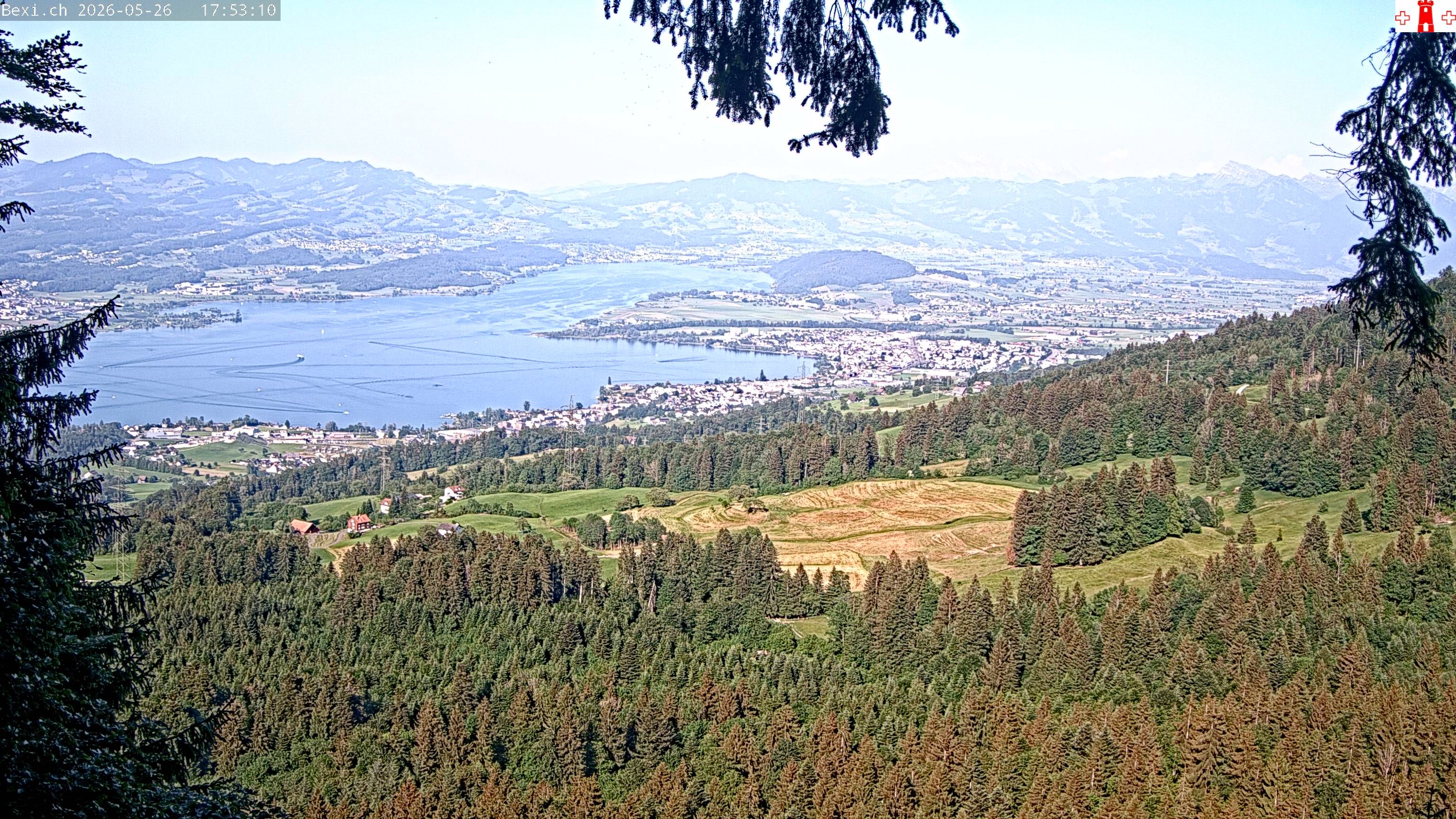 Feusisberg › Osten: Zürichsee