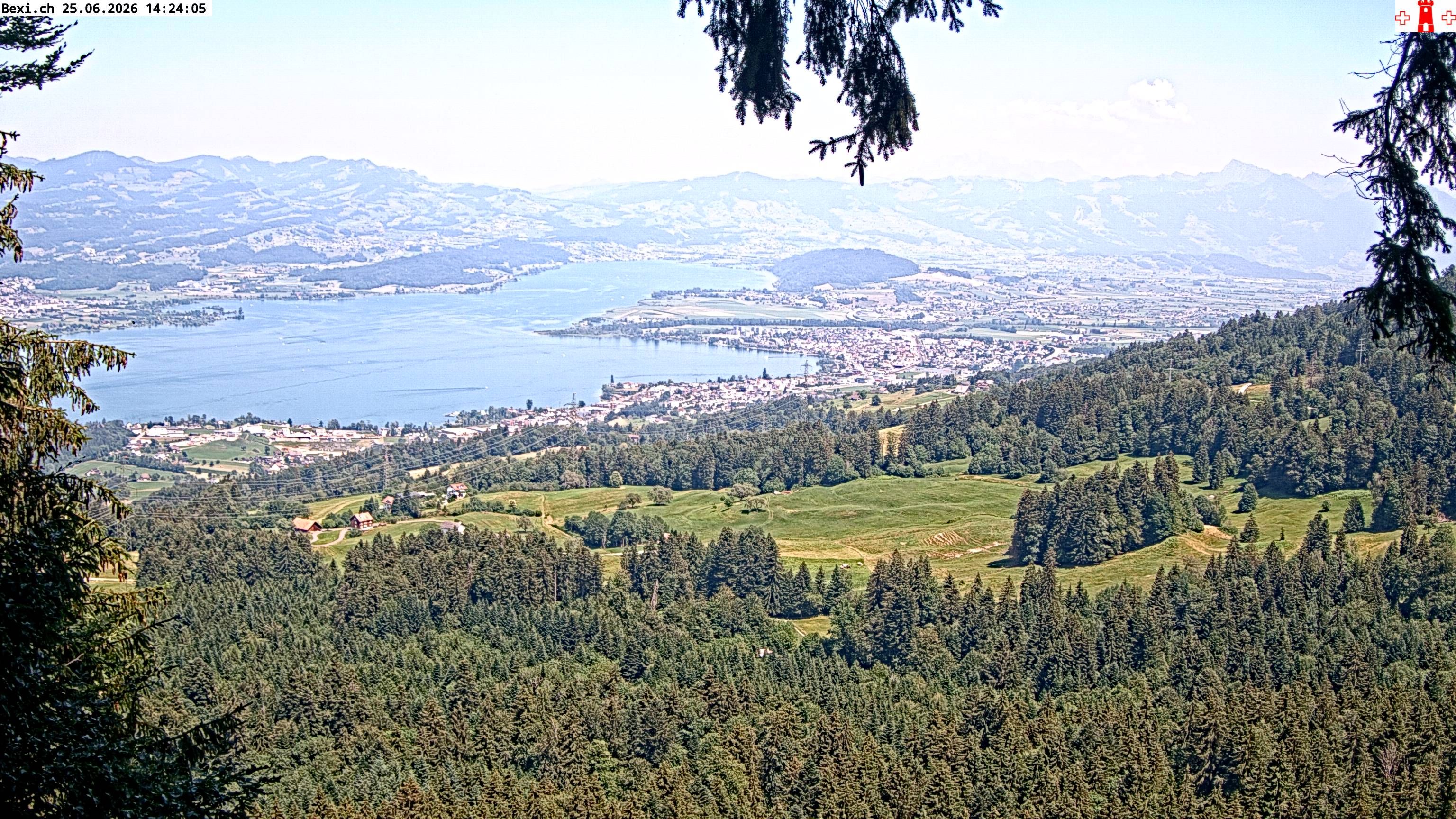 Feusisberg › Osten: Zürichsee