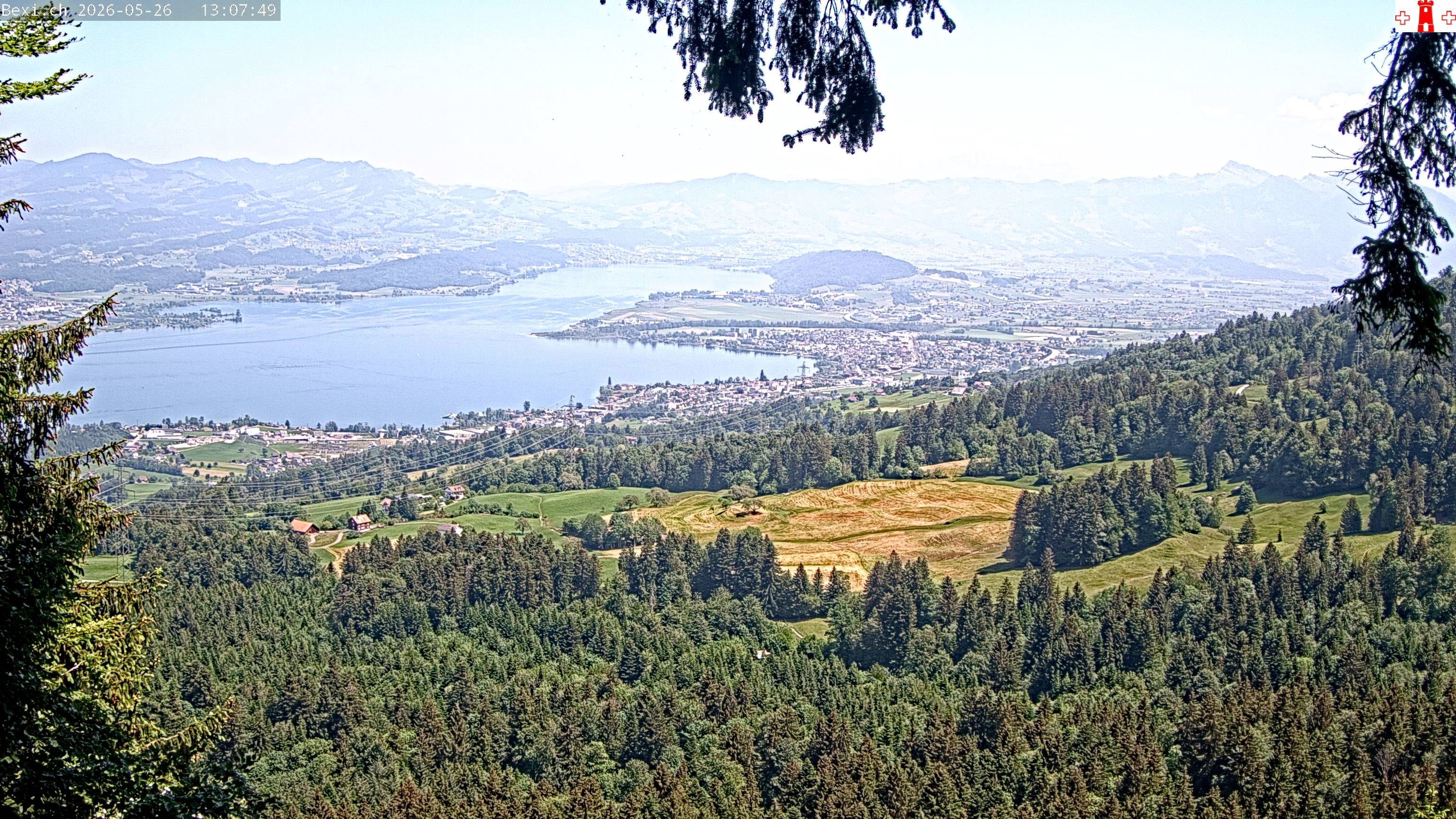 Feusisberg › Osten: Zürichsee