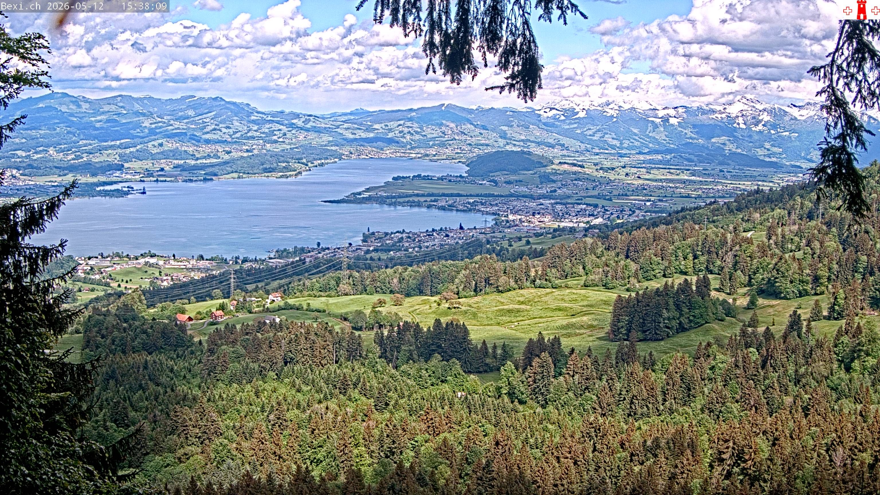 Feusisberg › Osten: Zürichsee