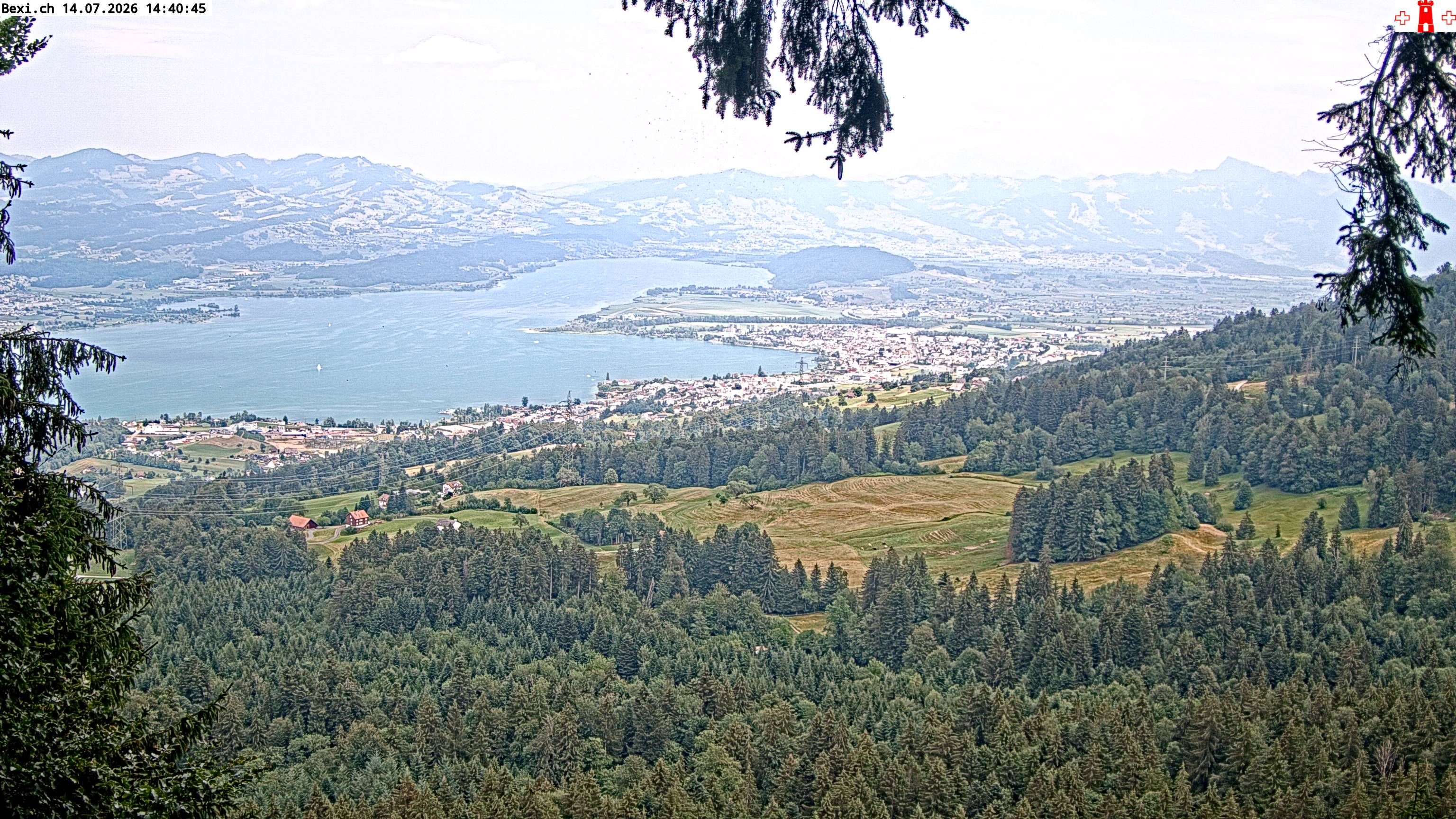 Feusisberg › Osten: Zürichsee