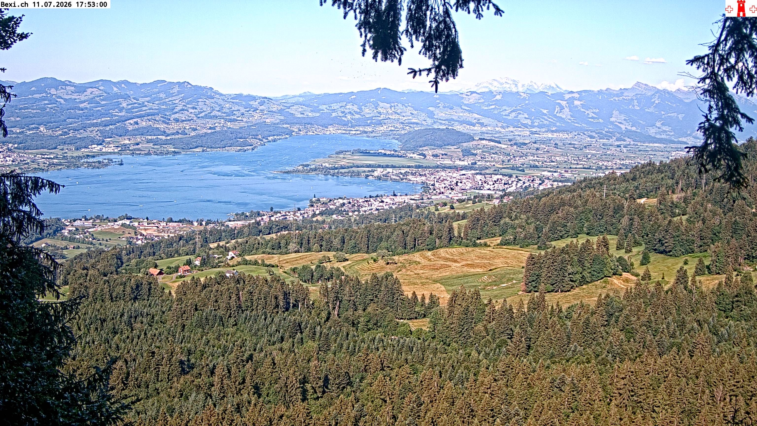 Feusisberg › Osten: Zürichsee