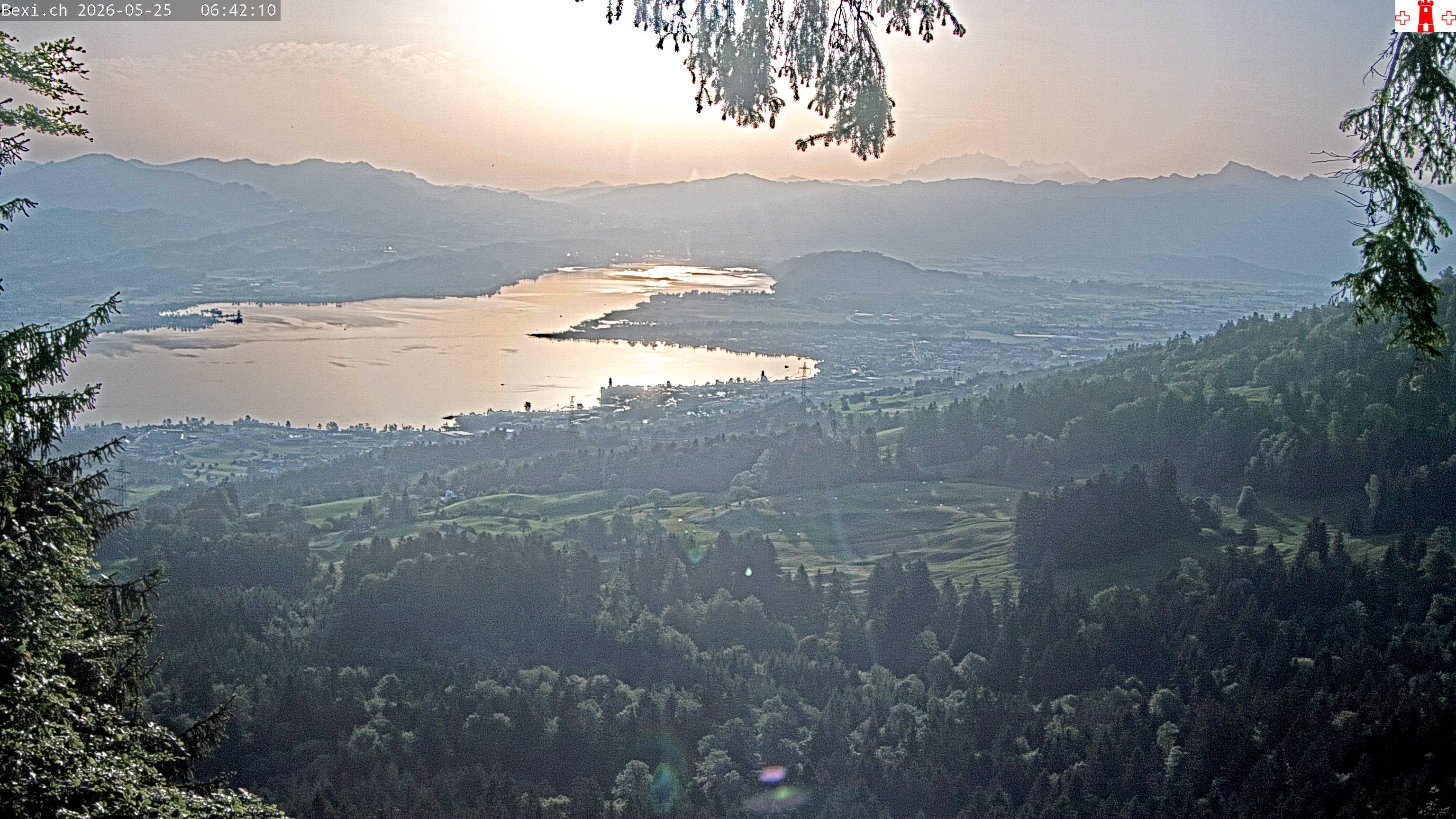Feusisberg › Osten: Zürichsee