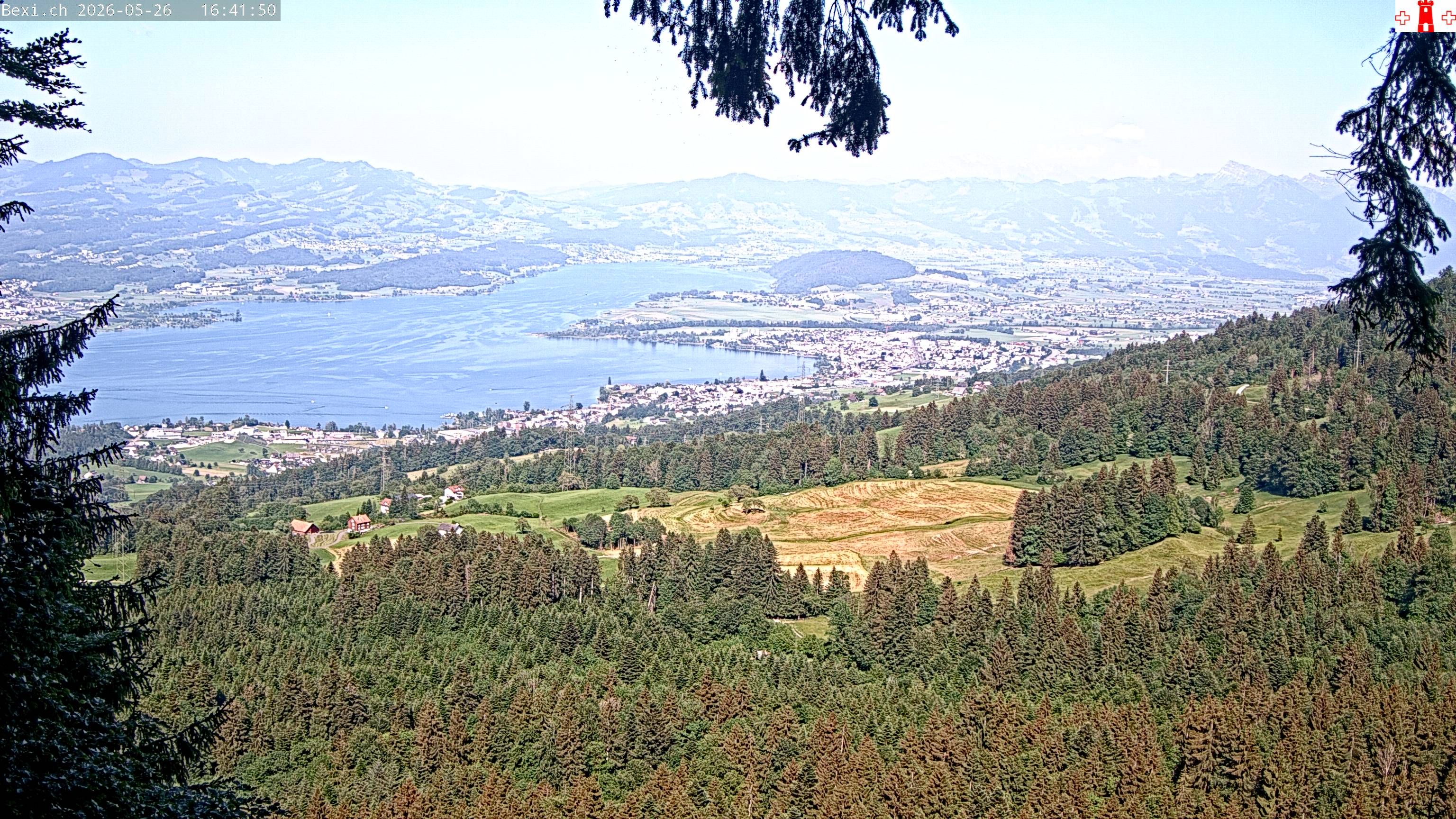 Feusisberg › Osten: Zürichsee