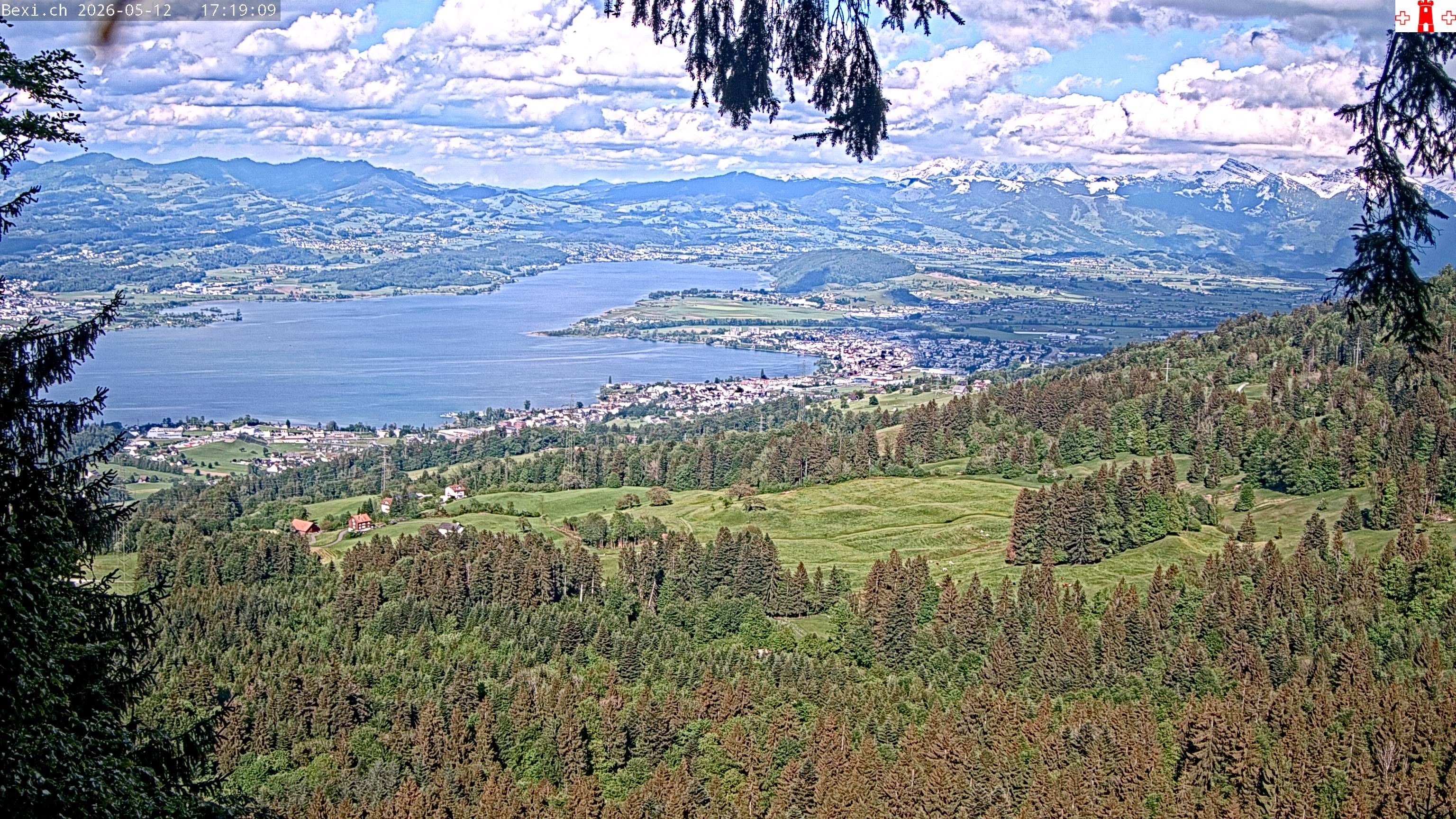 Feusisberg › Osten: Zürichsee